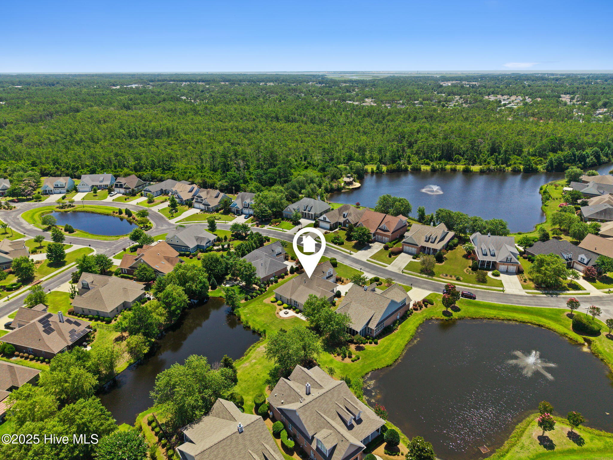 100519304 | Photo 39