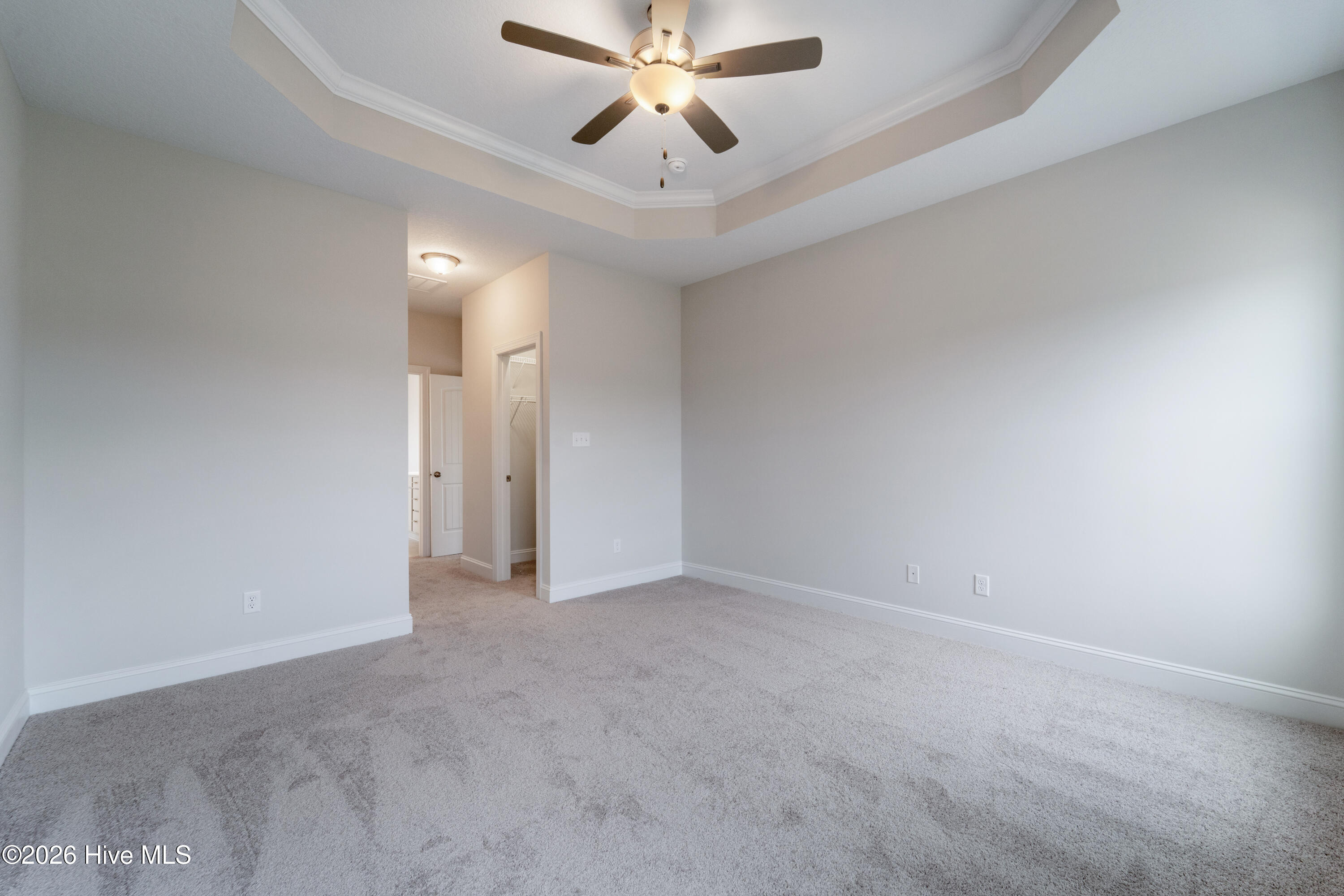 100523498 | Photo 17