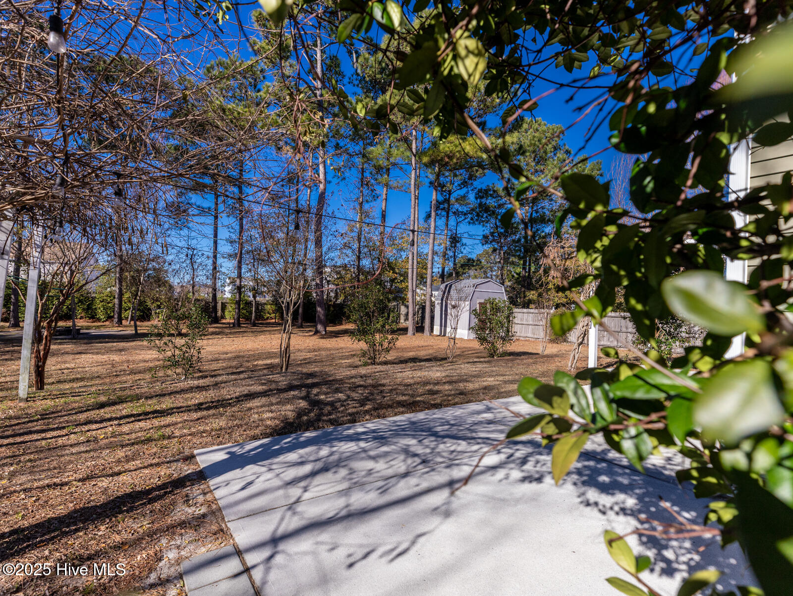 100546251 | Photo 52