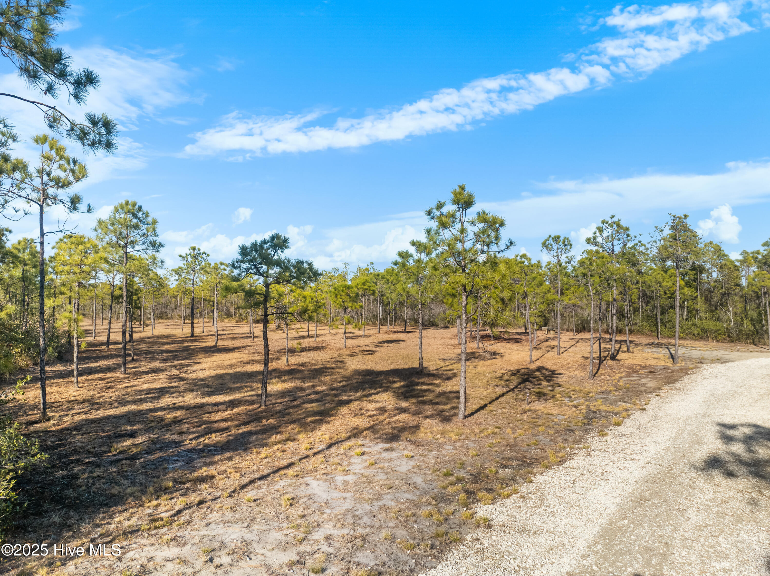 100490322 | Photo 23