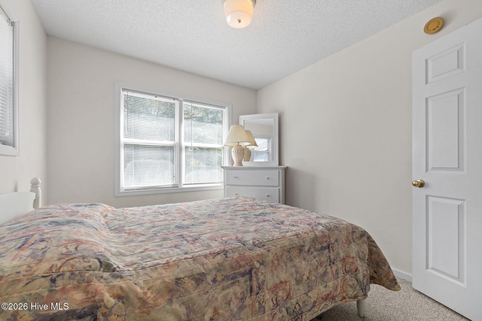 100557807 | Photo 22