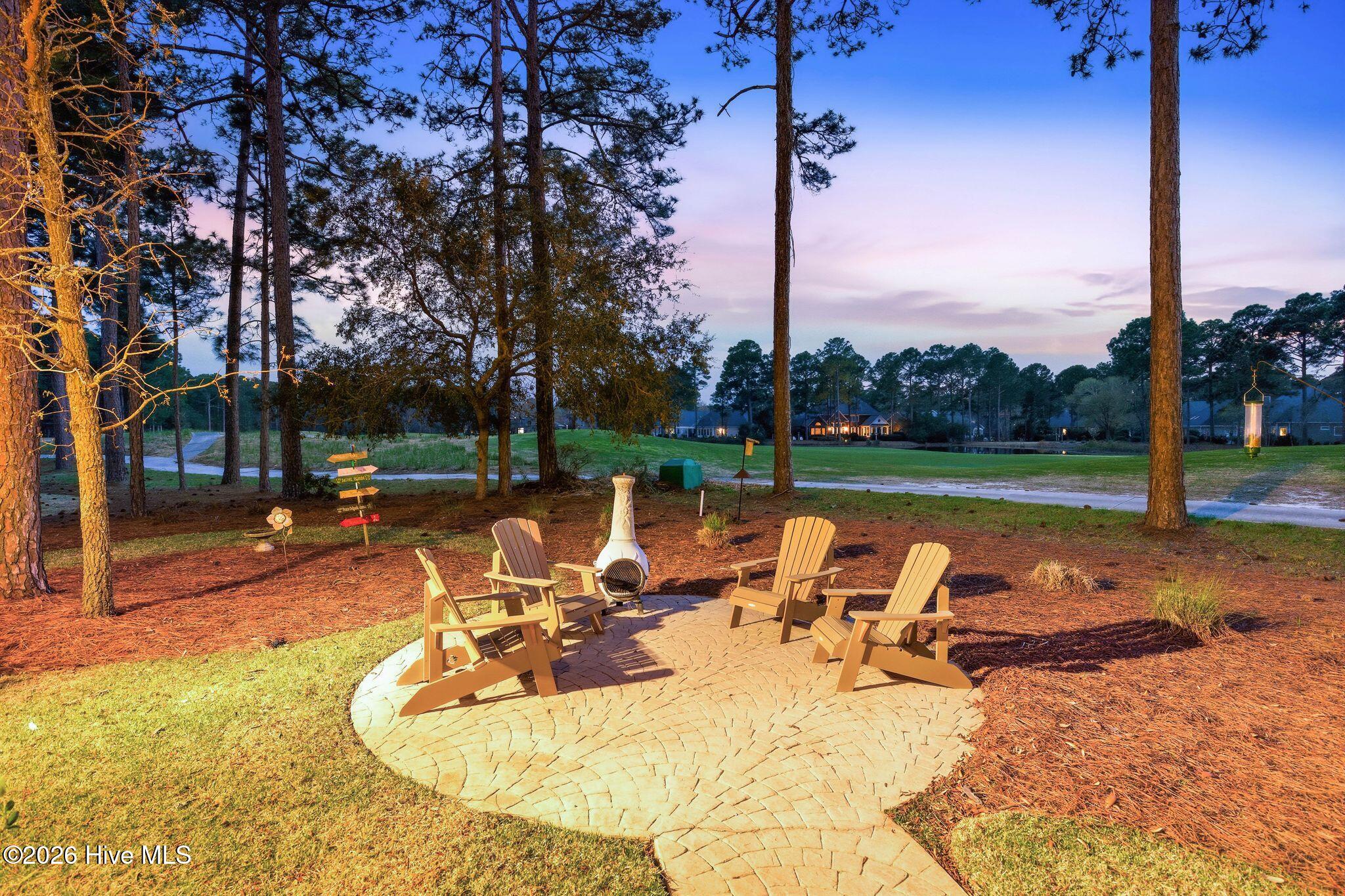 100564432 | Photo 103