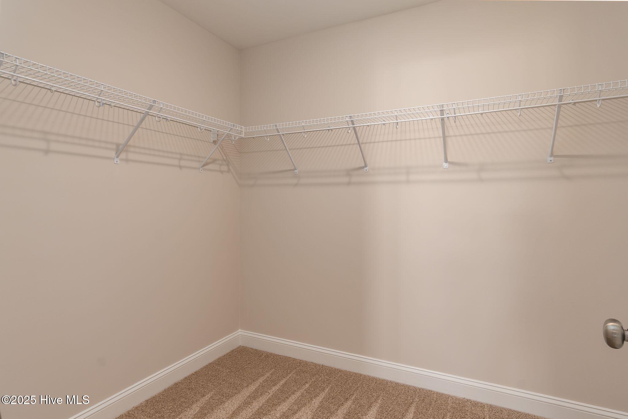 100531004 | Photo 37