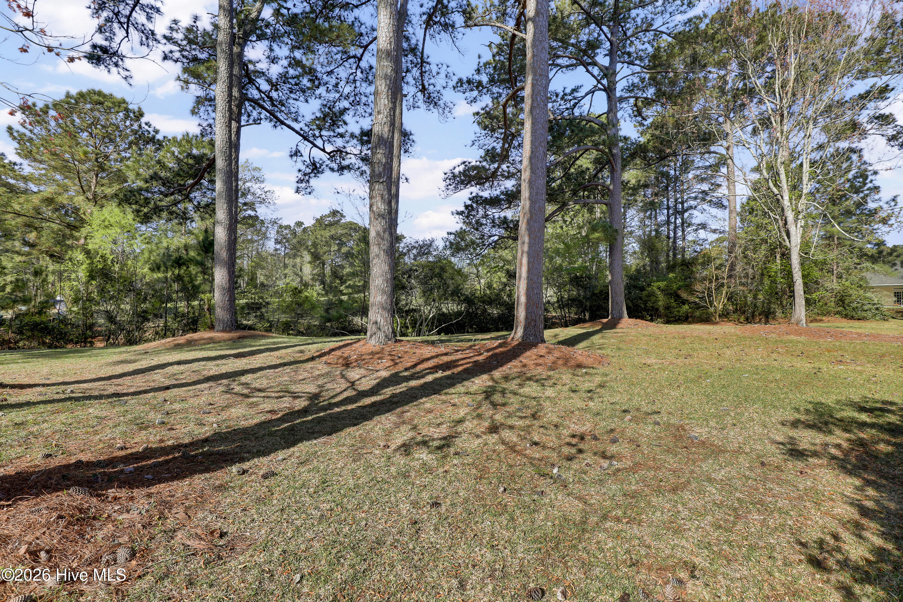 100565686 | Photo 27