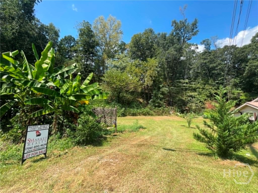 driveway in
