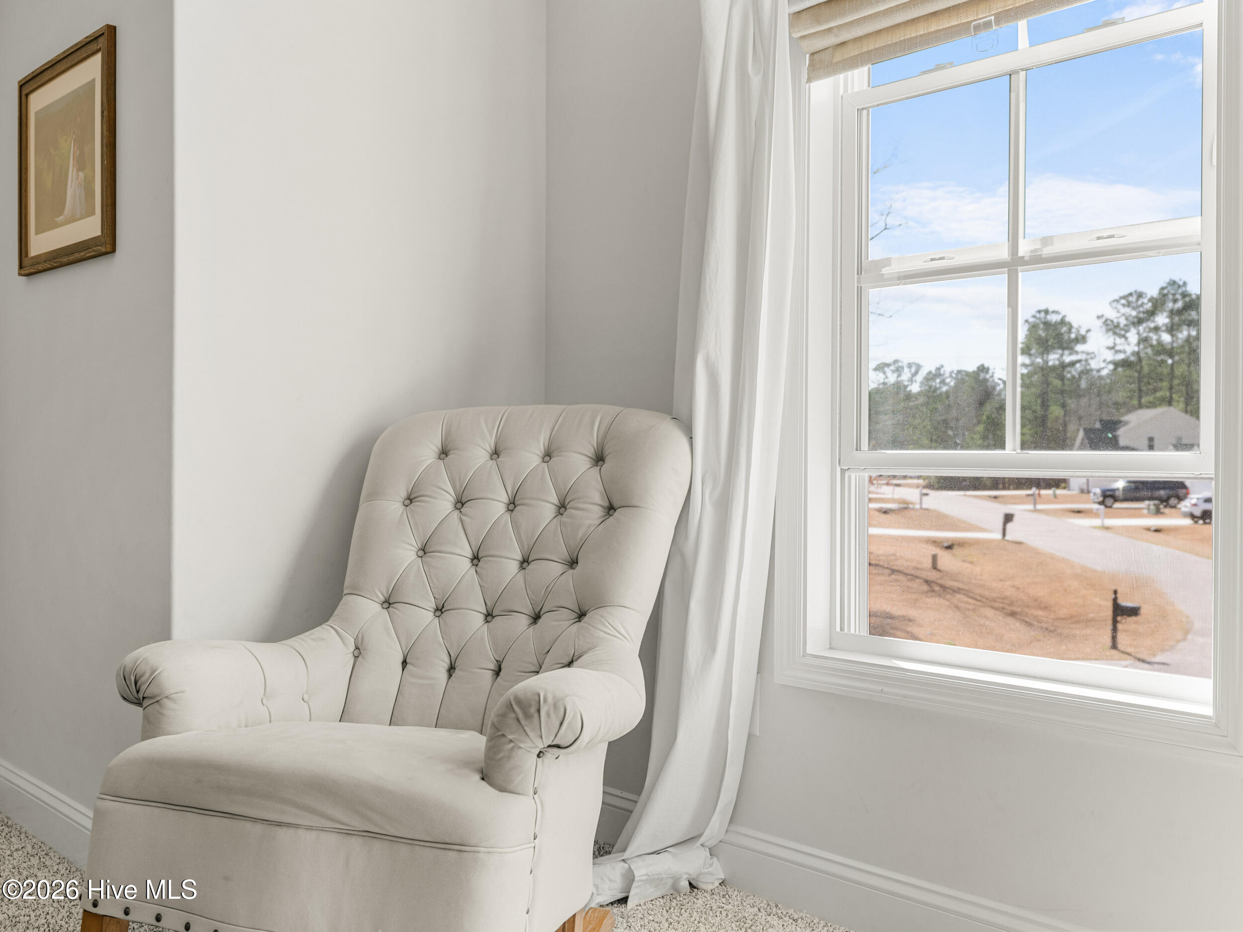 100558735 | Photo 40