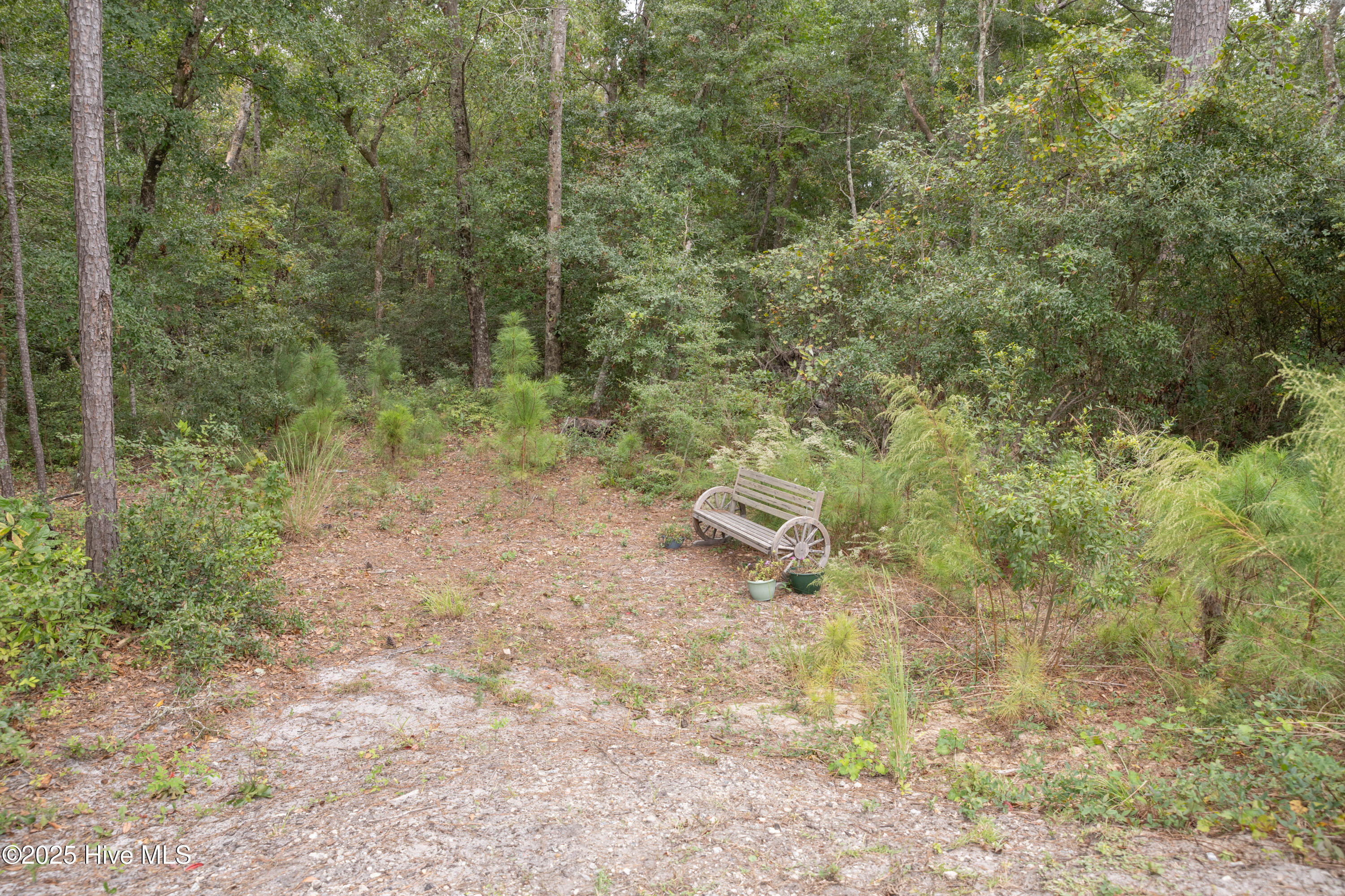 100535849 | Photo 24