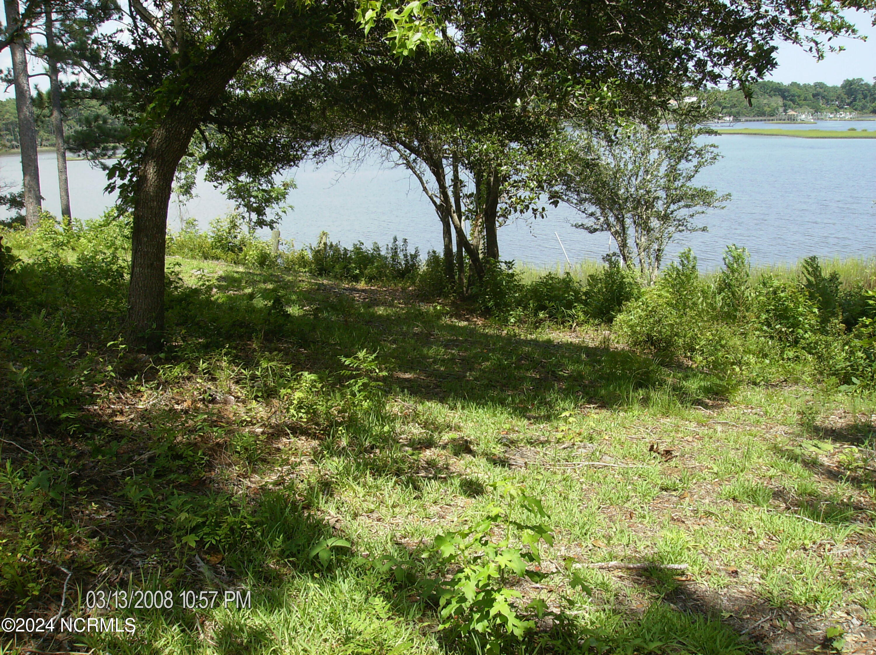 100459074 | Photo 14