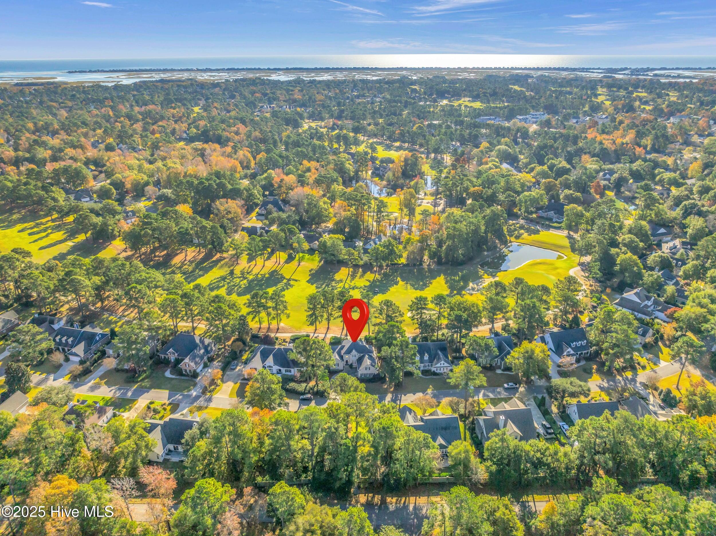 100542243 | Photo 42