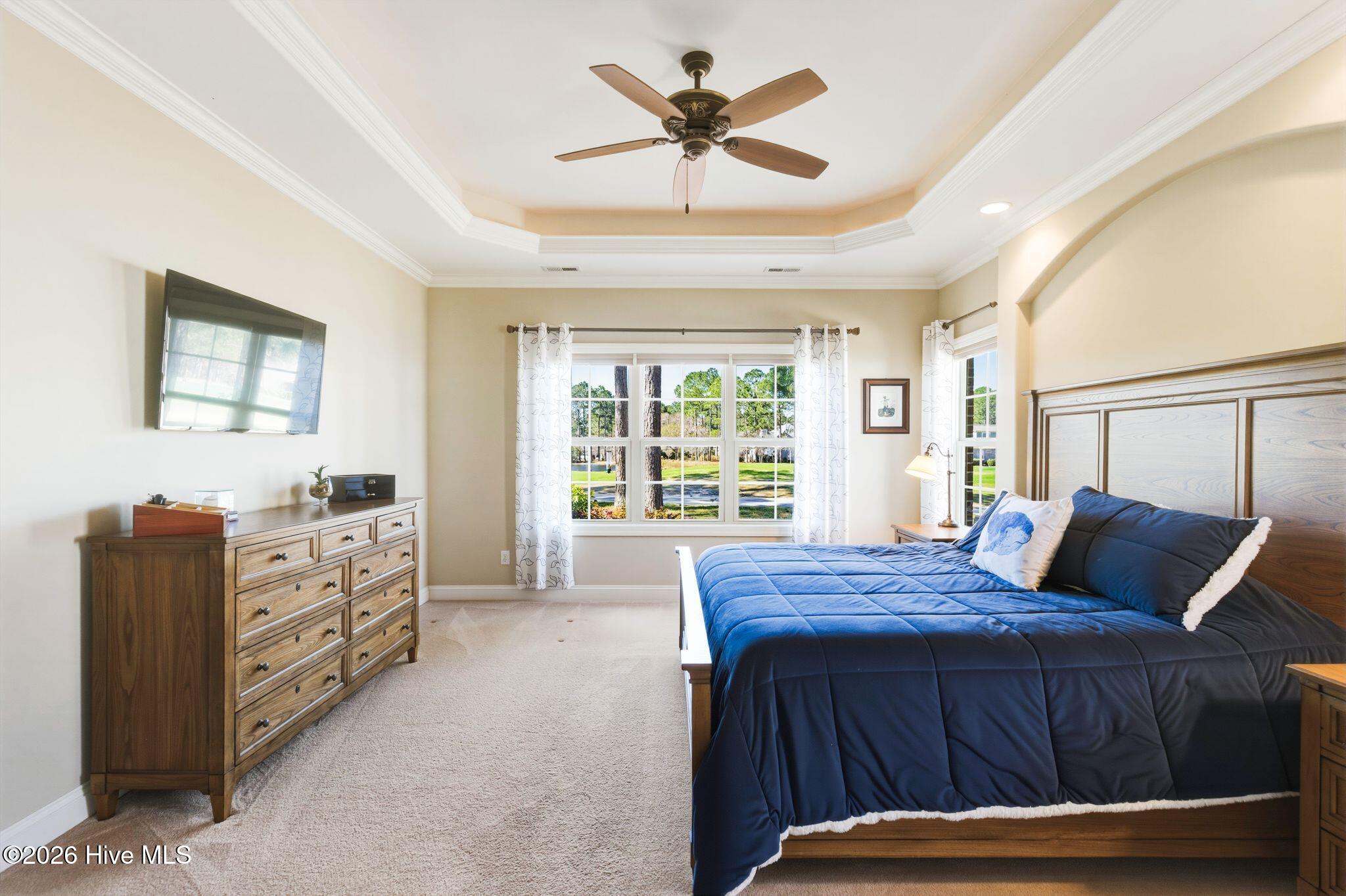 100564432 | Photo 23