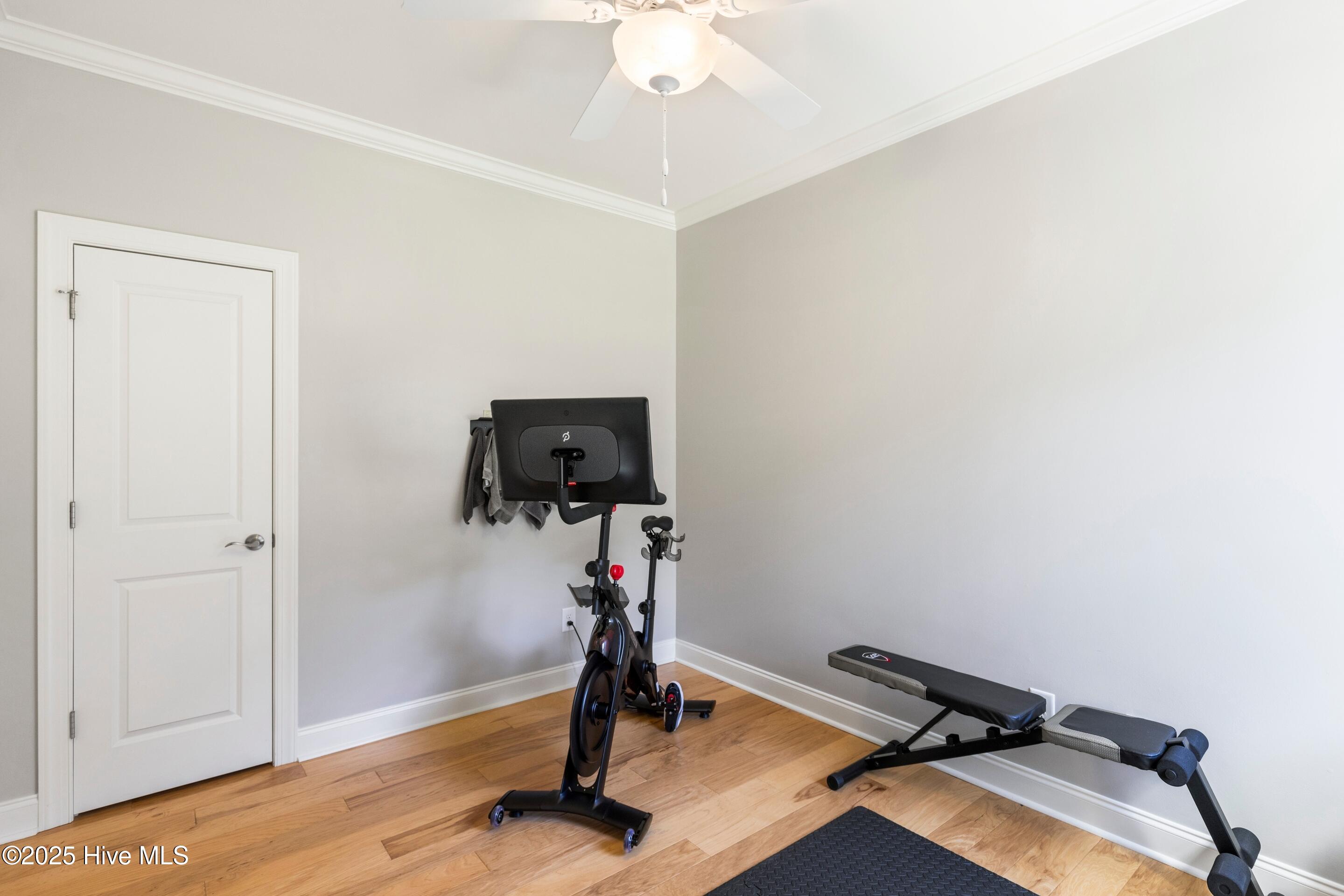 100537619 | Photo 30