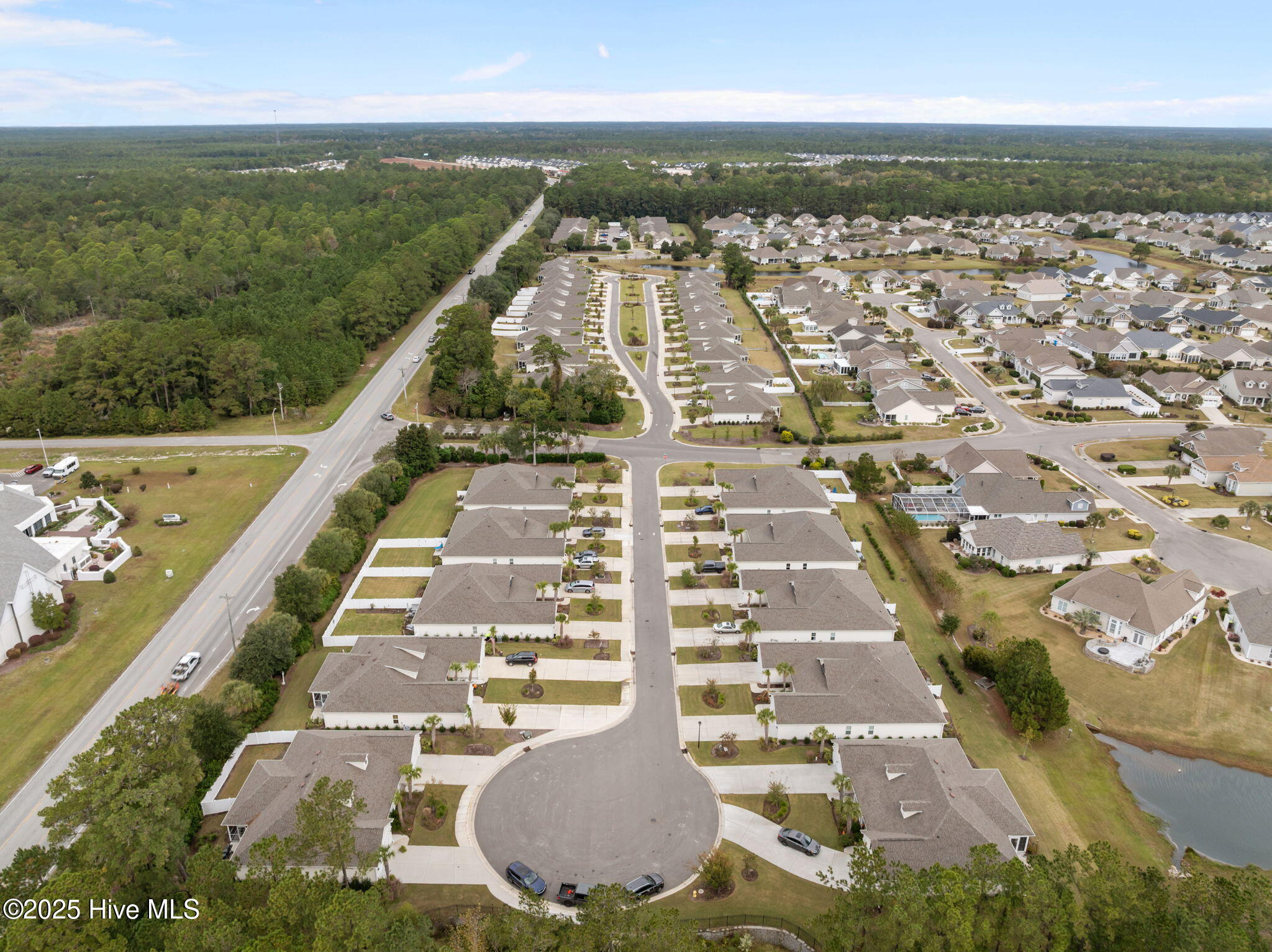 100539451 | Photo 48