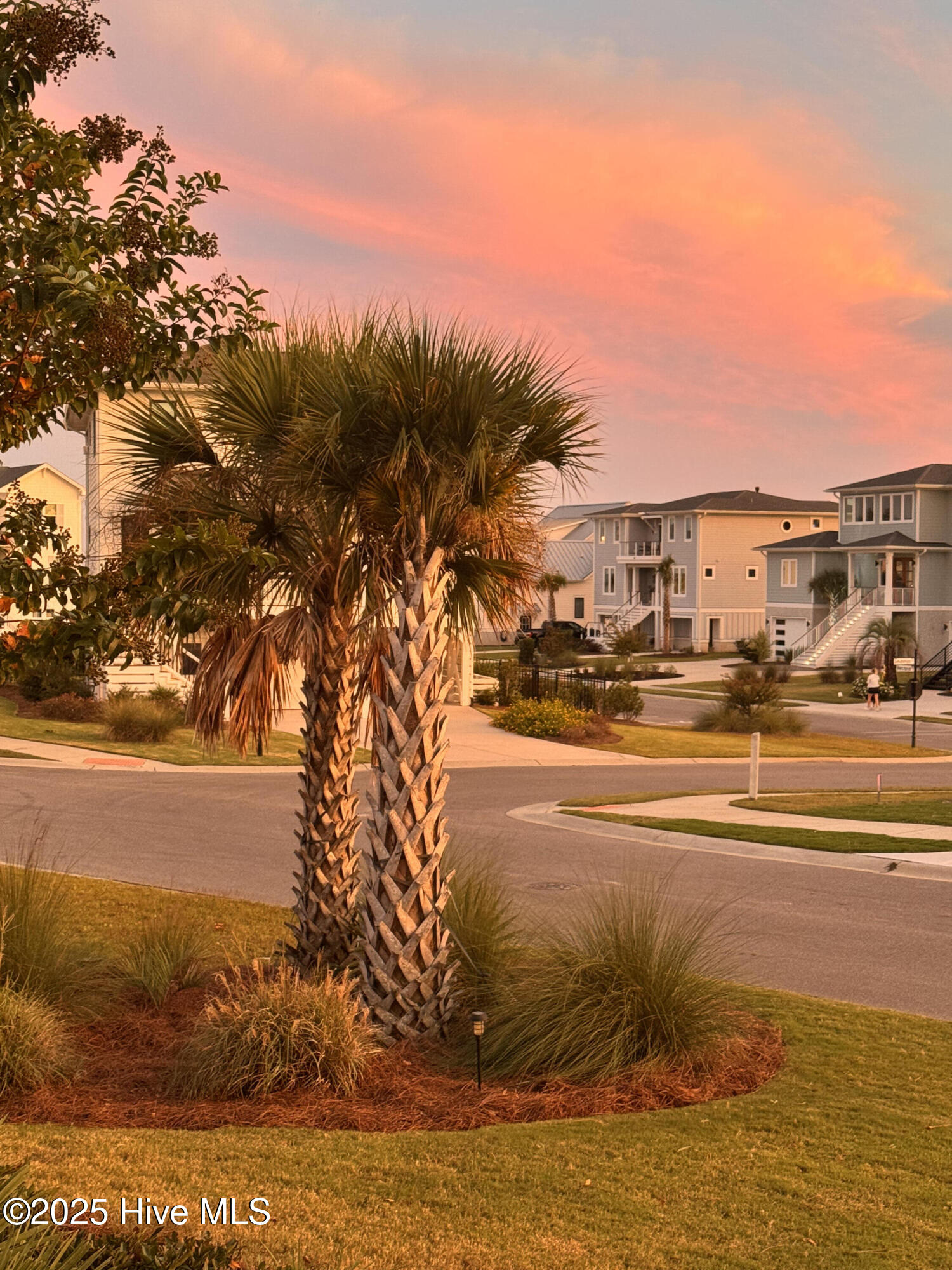 100545282 | Photo 63