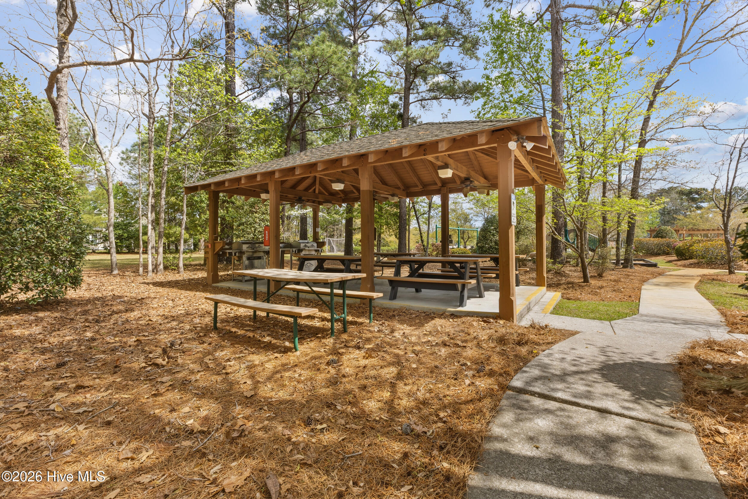 100564040 | Photo 60