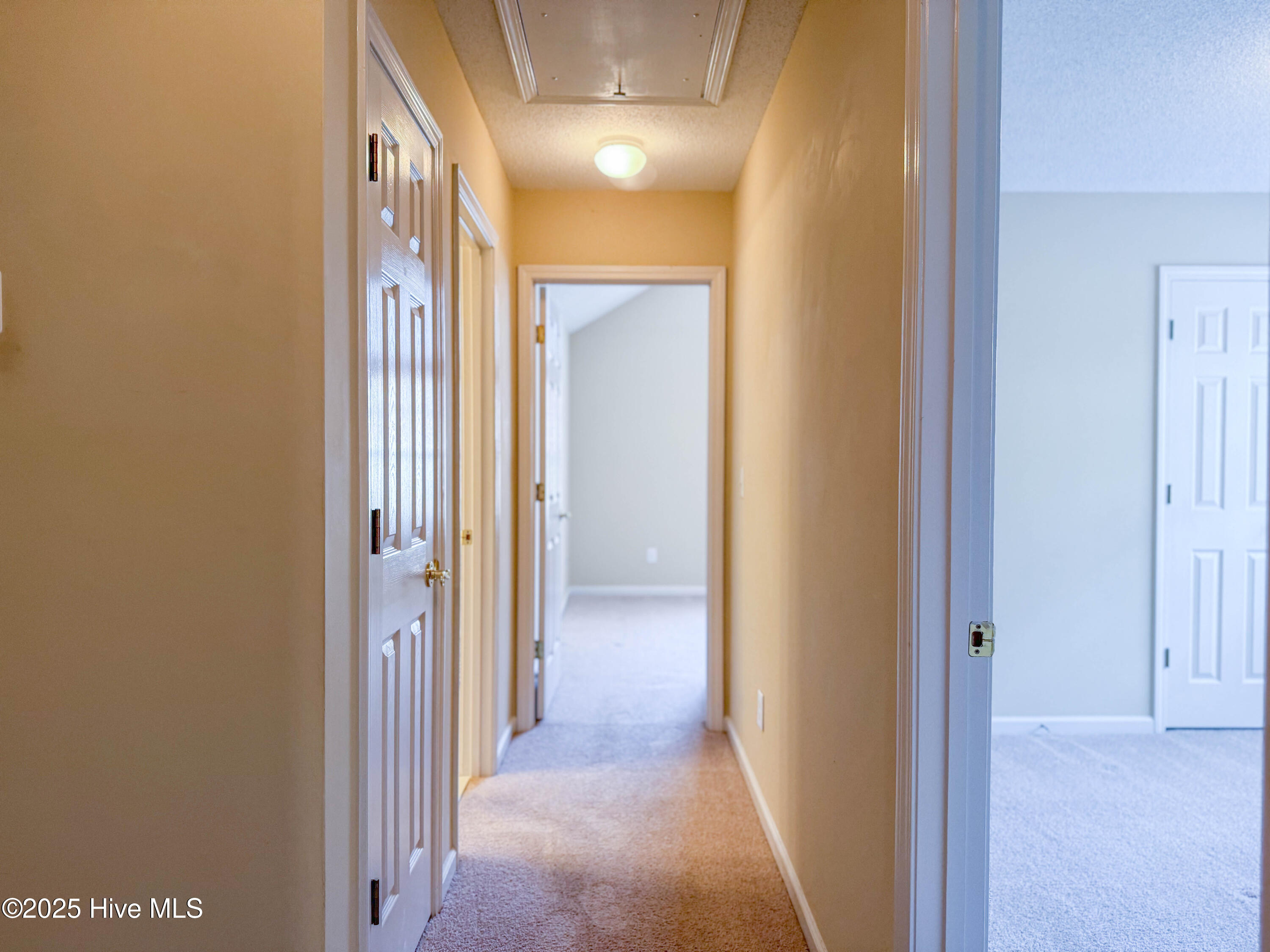 100542356 | Photo 34