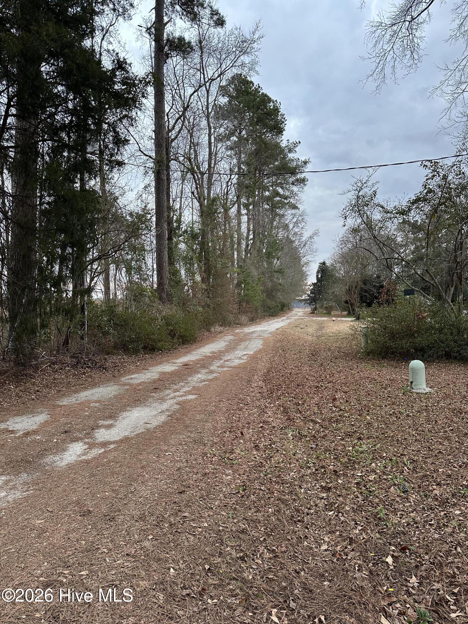 100551205 | Photo 19