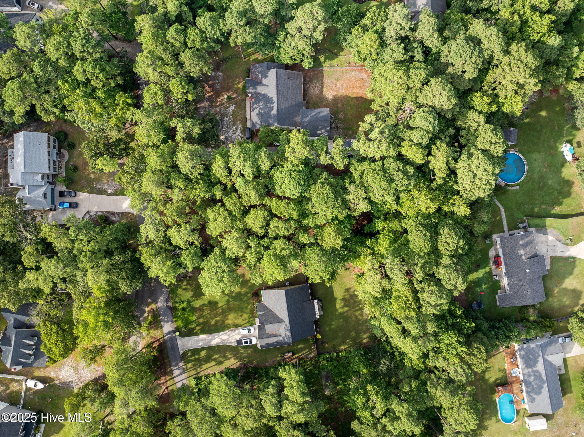 100520781 | Photo 22