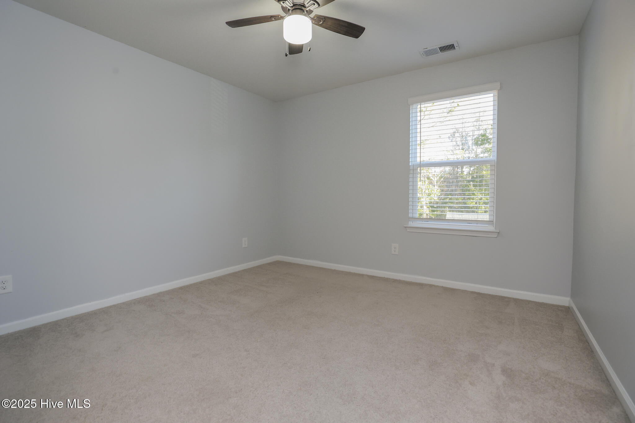 100537464 | Photo 30