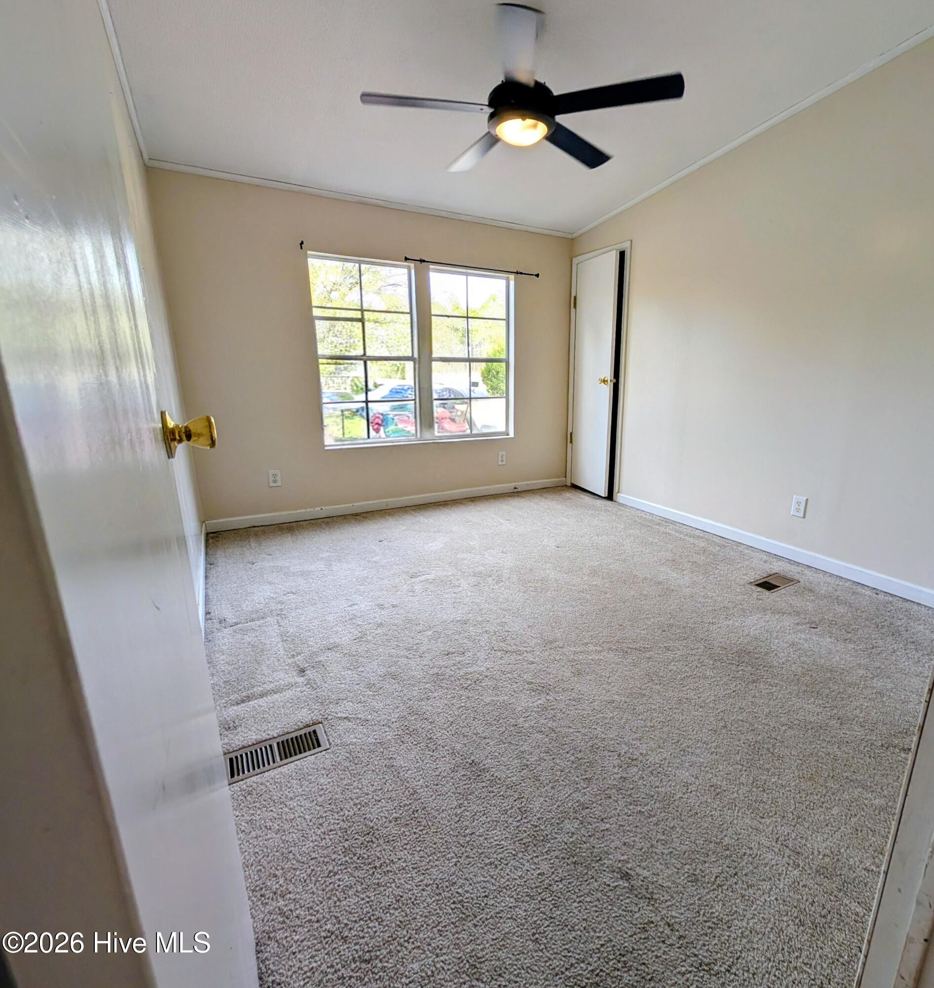 100560578 | Photo 10