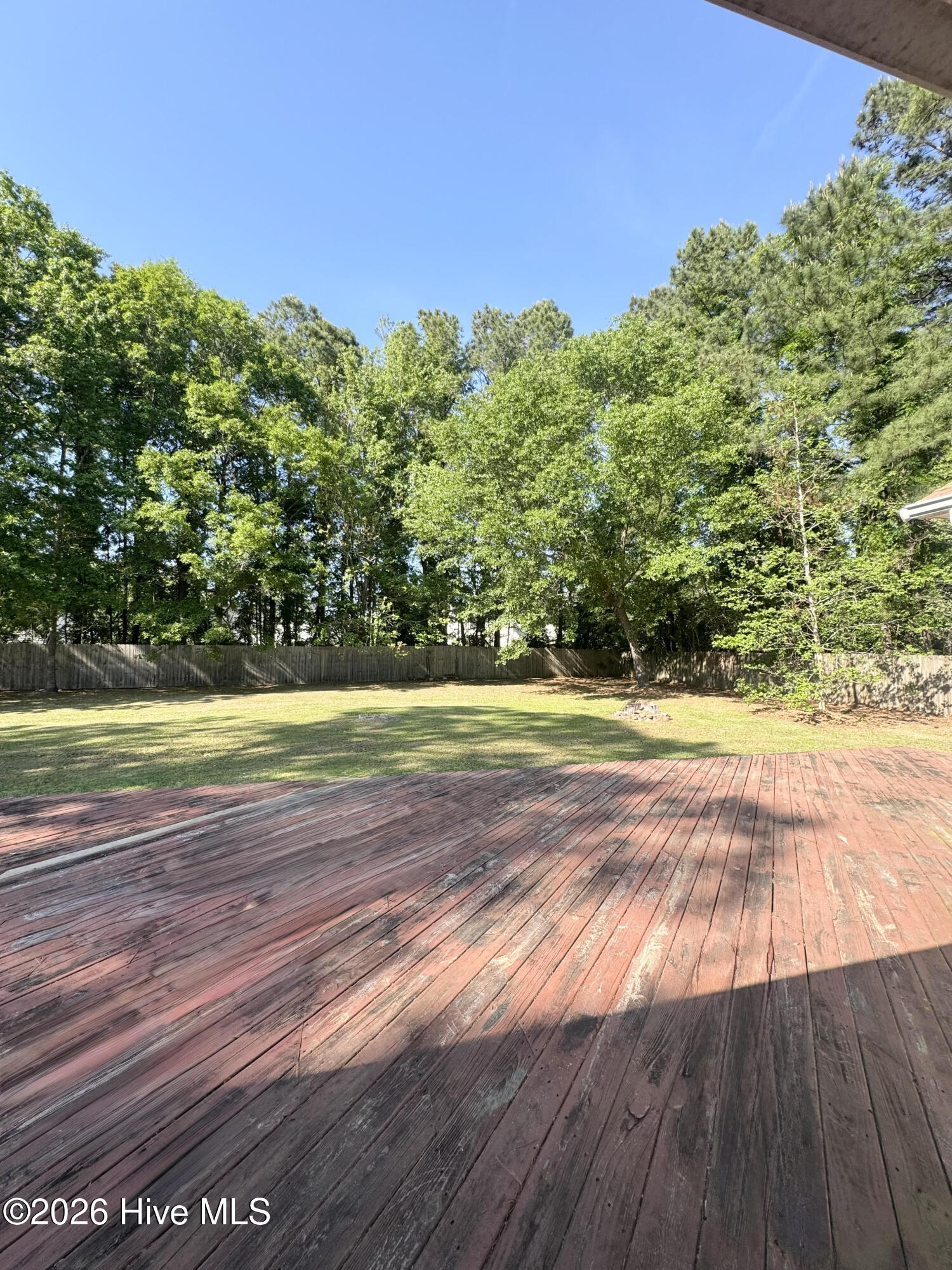 100568535 | Photo 23