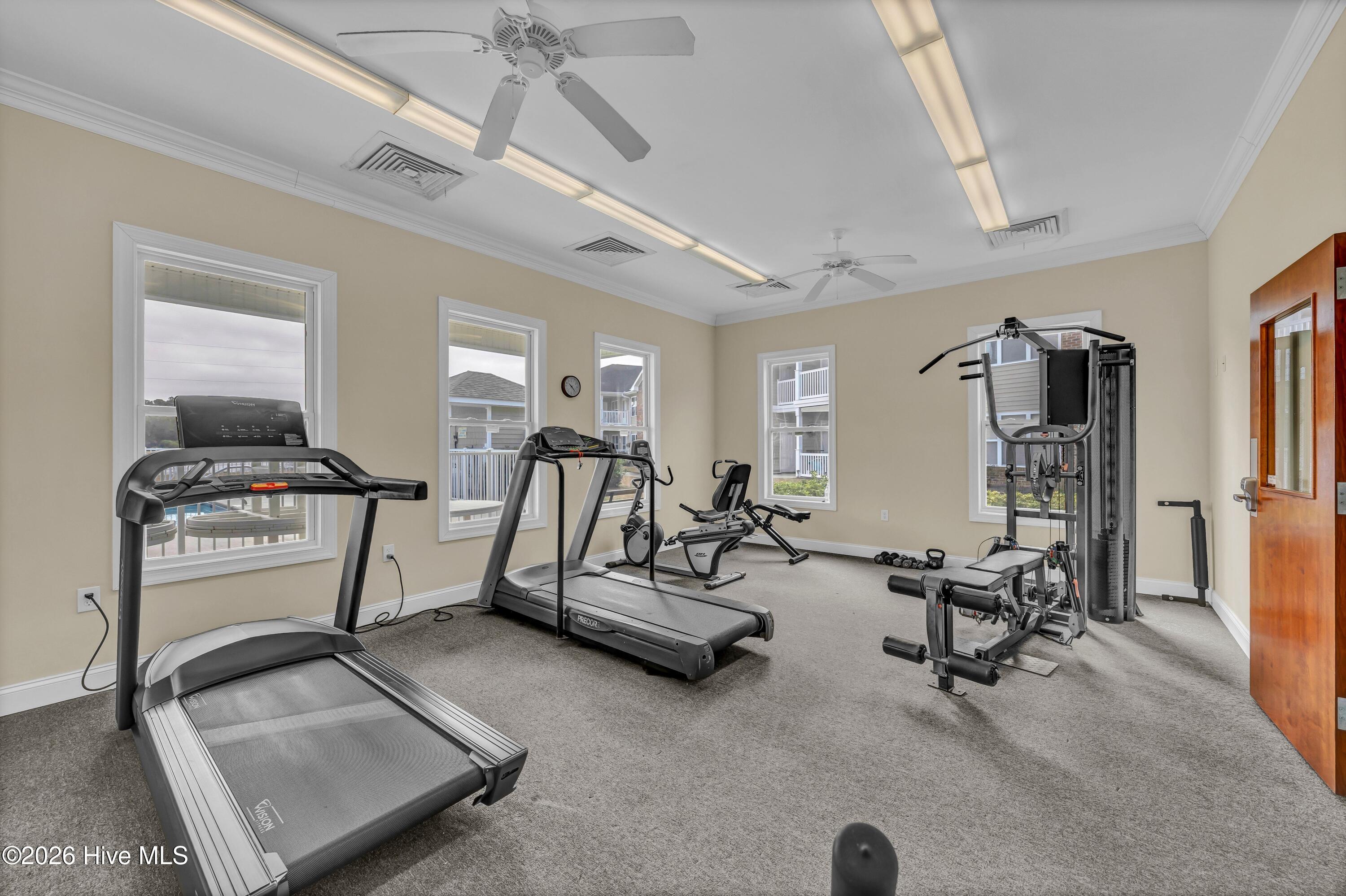 100557951 | Photo 34