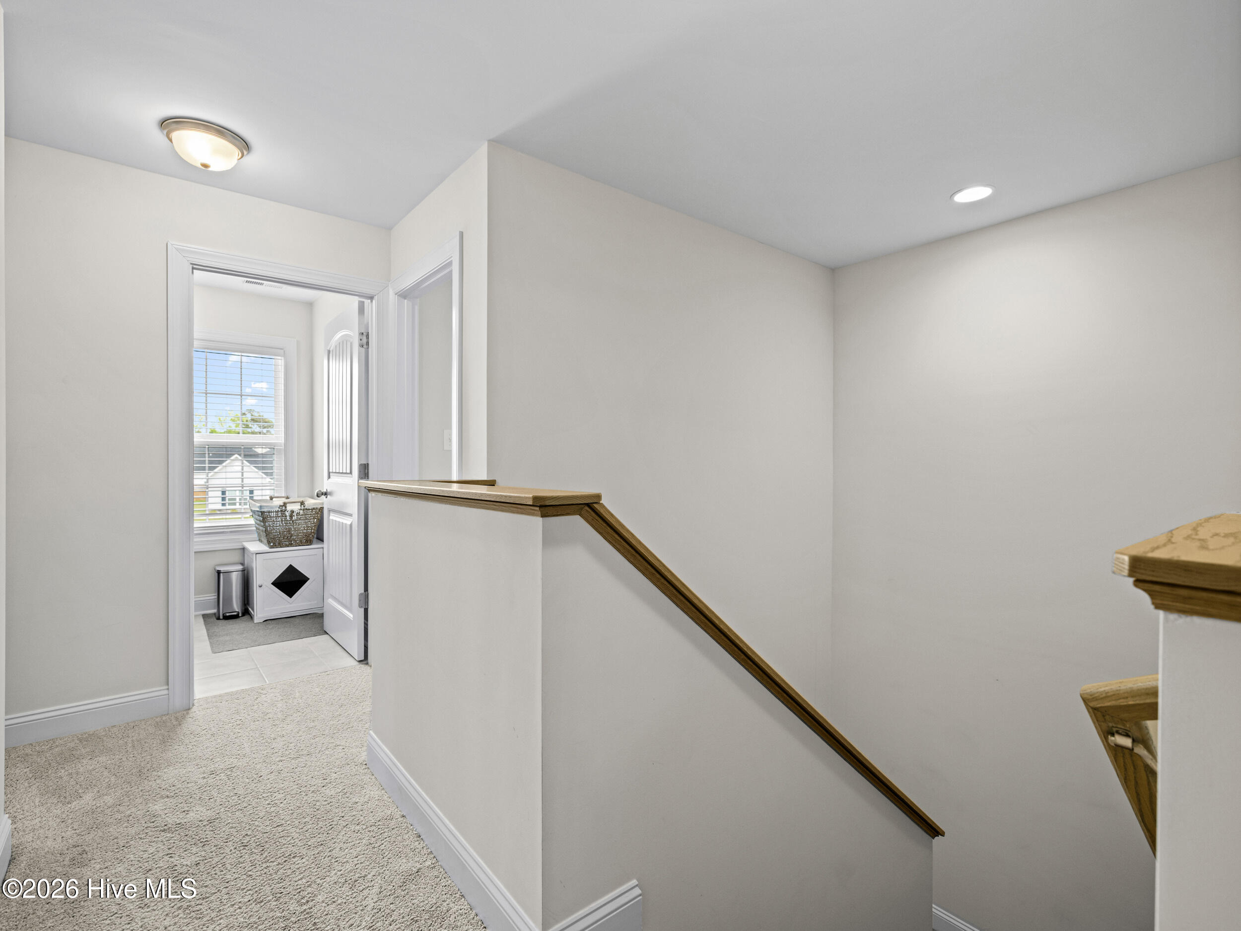 100569509 | Photo 34