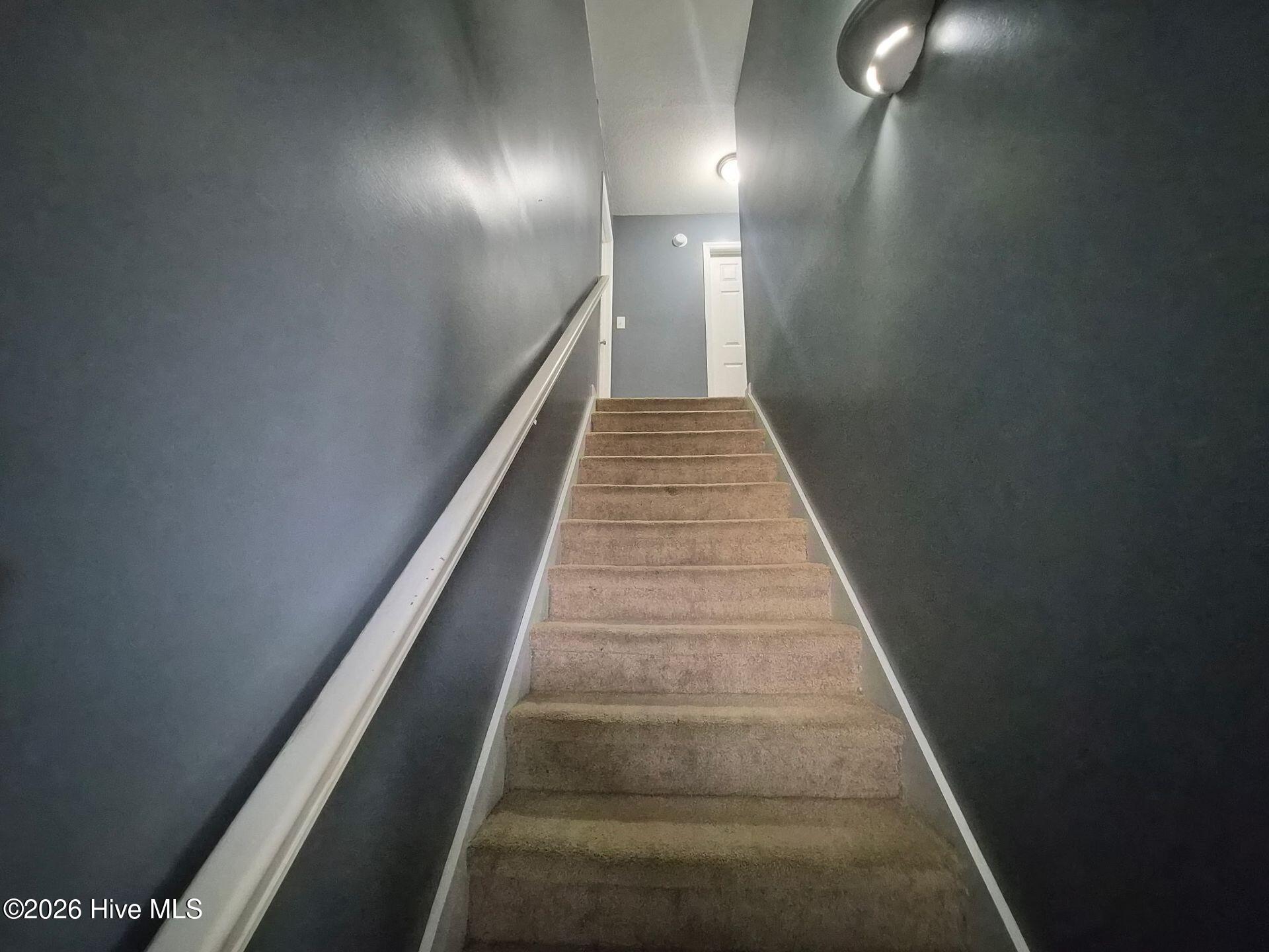 100560724 | Photo 13