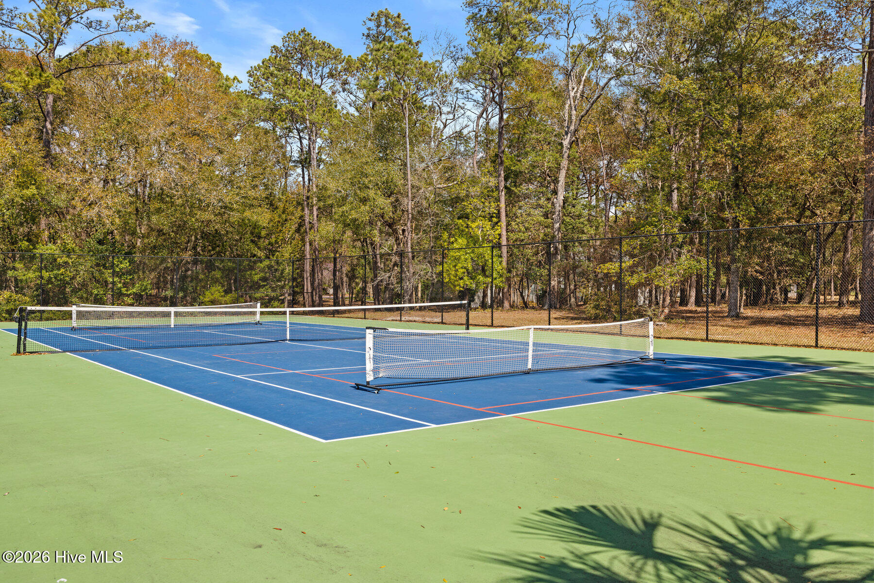 100554265 | Photo 46