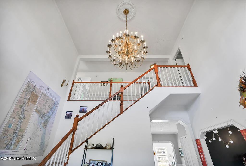 100537845 | Photo 19