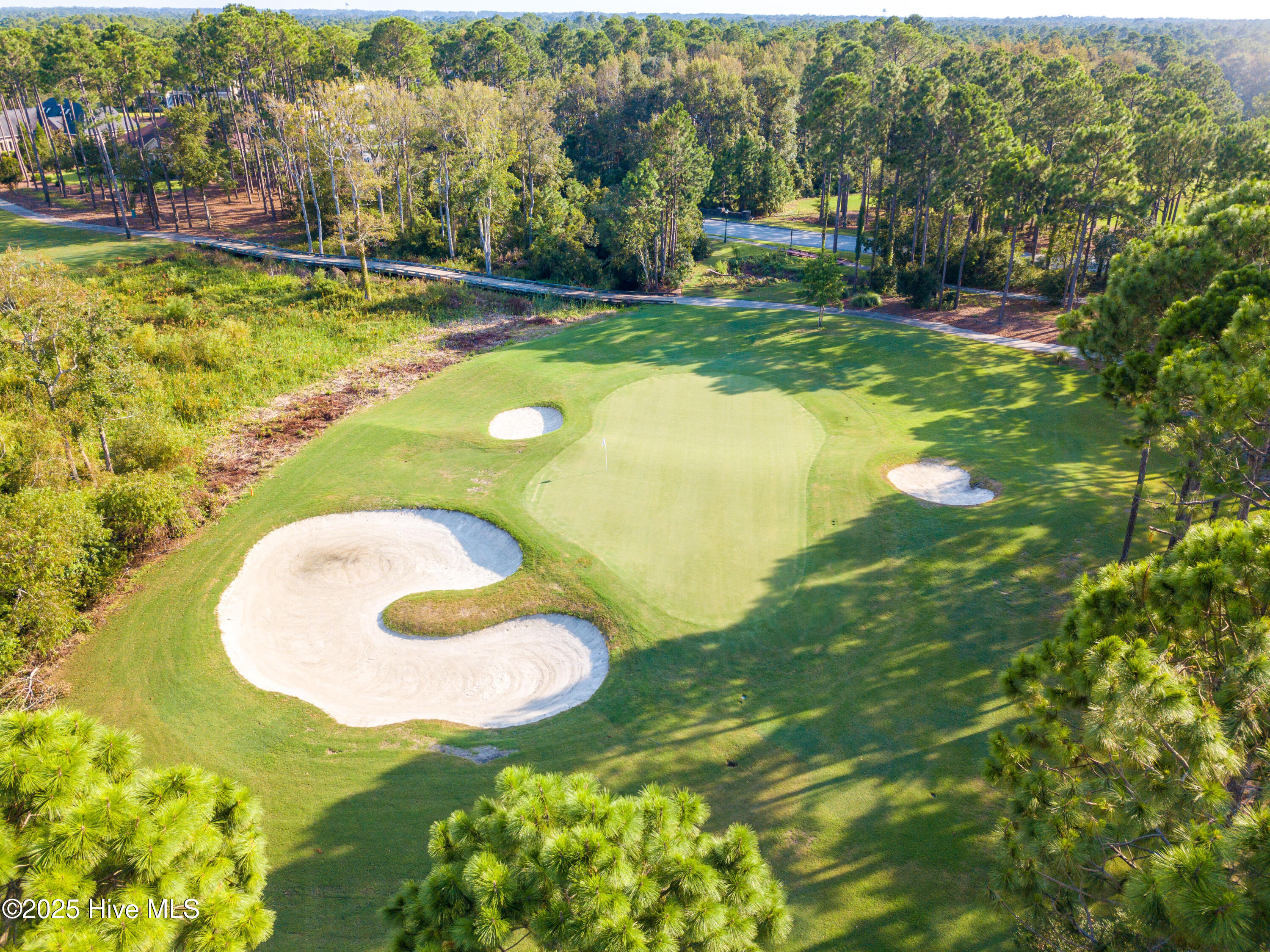 100523896 | Photo 55