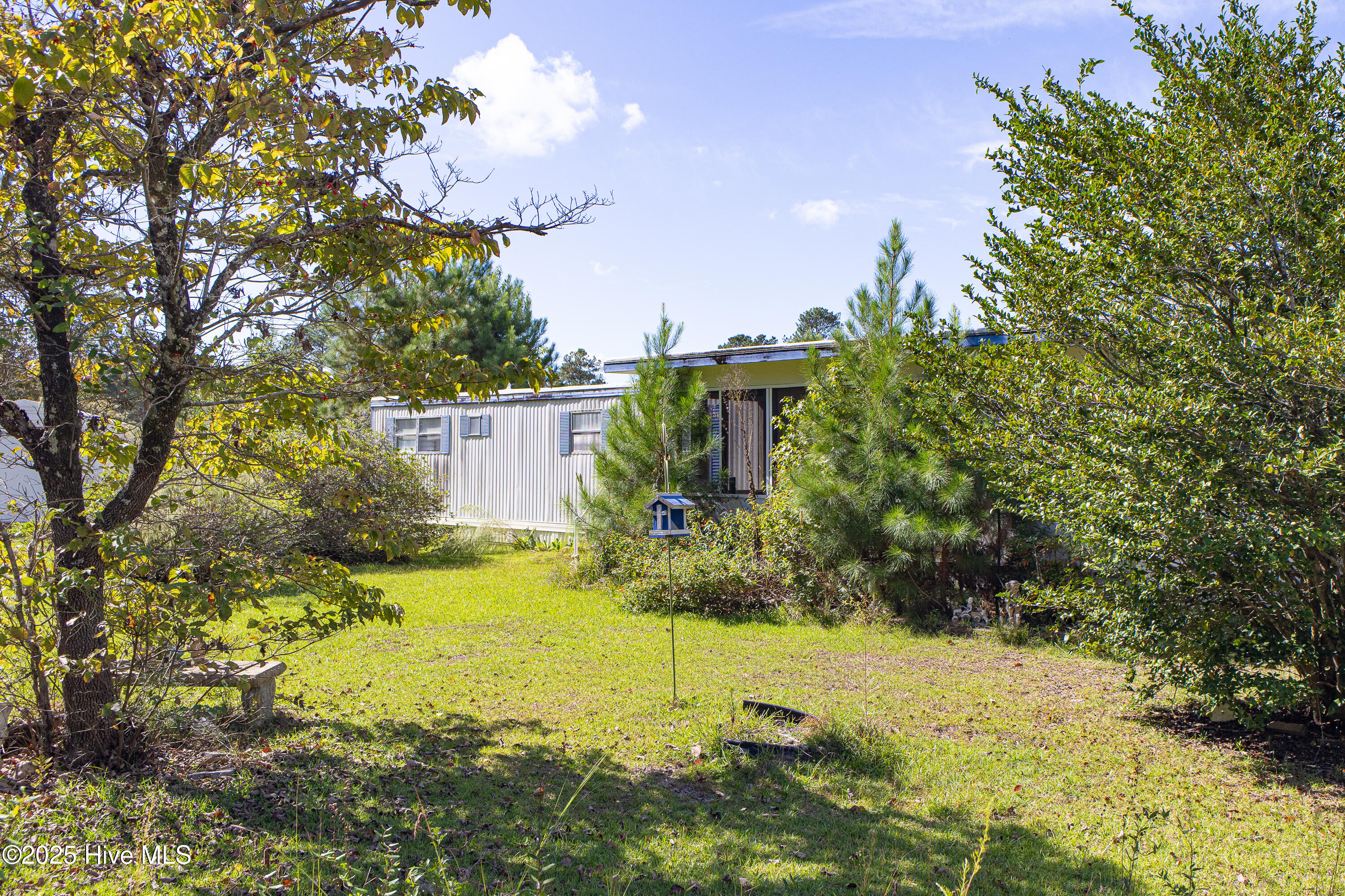 100534440 | Photo 17