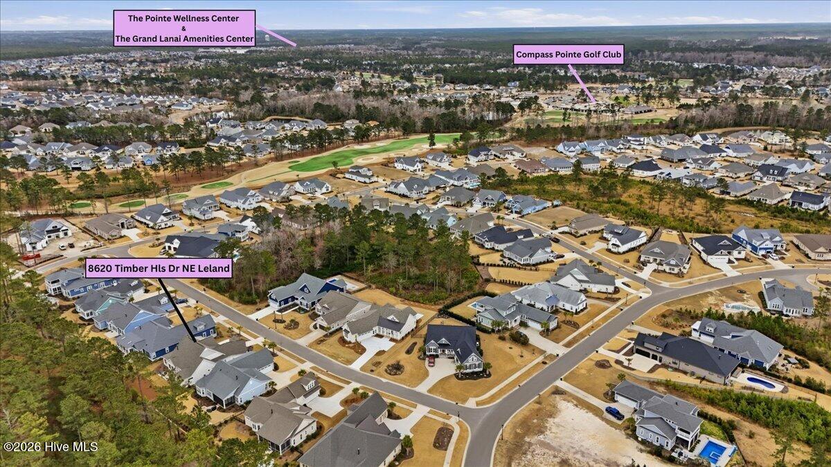 100558709 | Photo 89