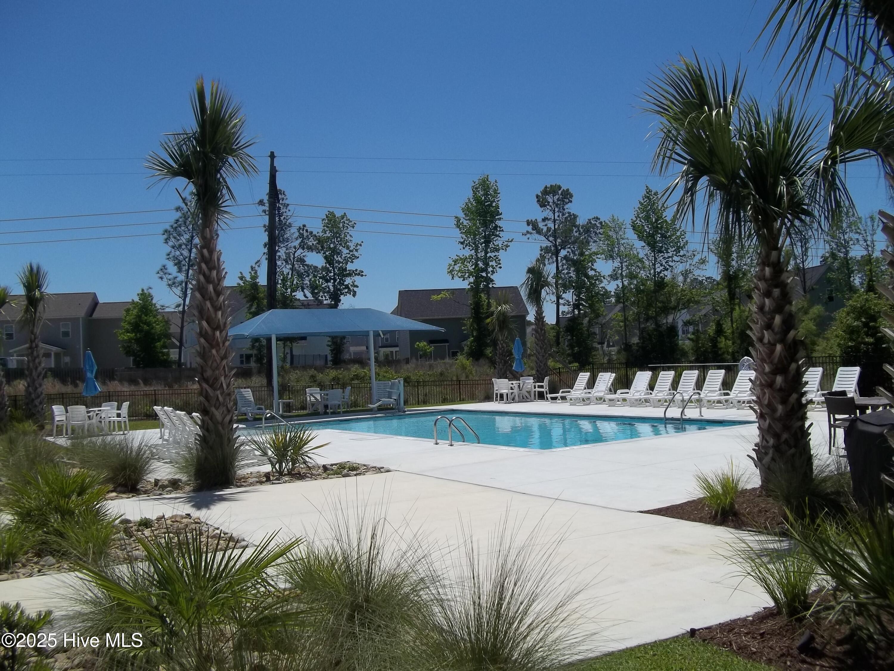 100538421 | Photo 26