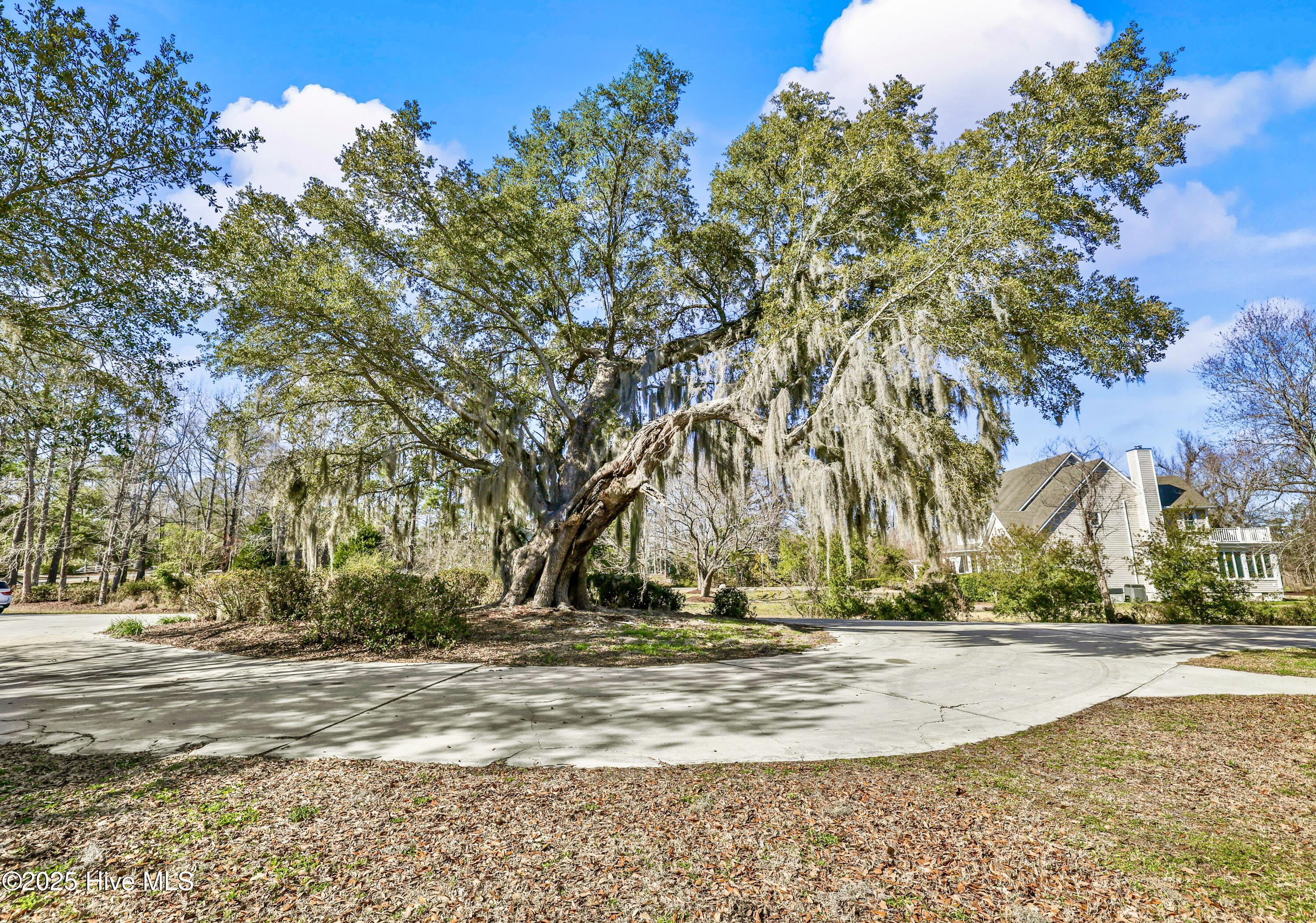 100494735 | Photo 69