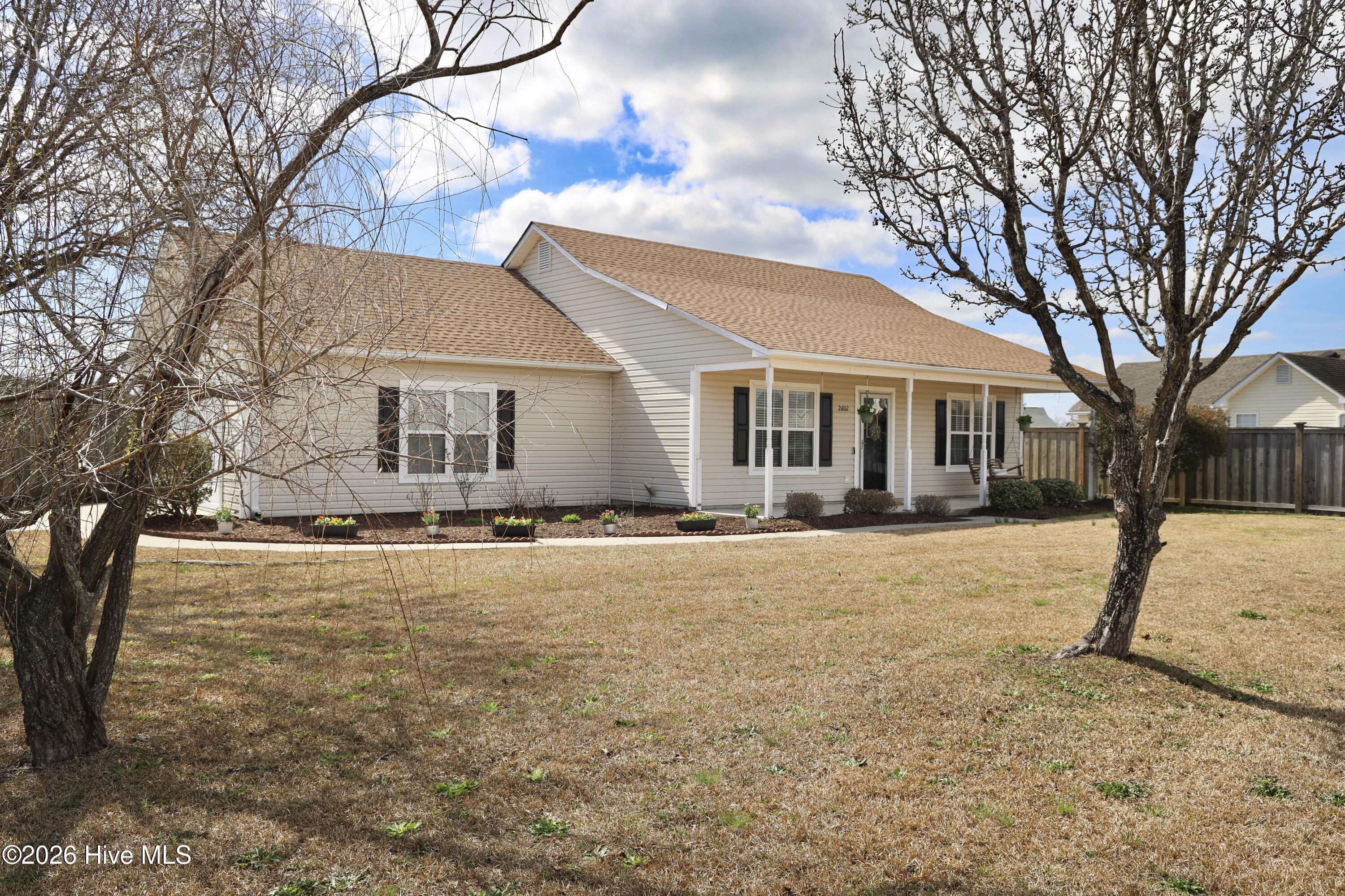 100558599 | Photo 24