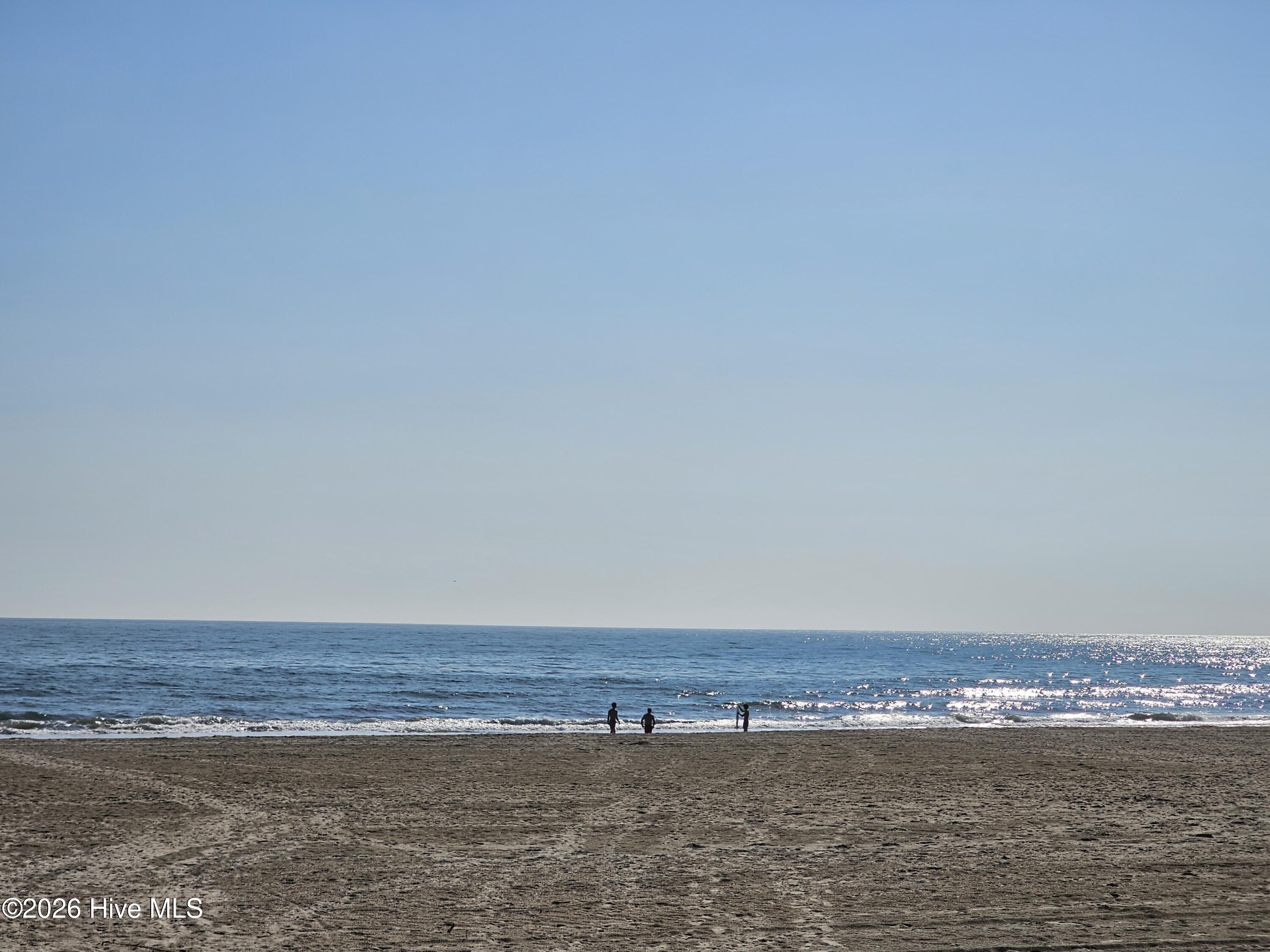 100559345 | Photo 24