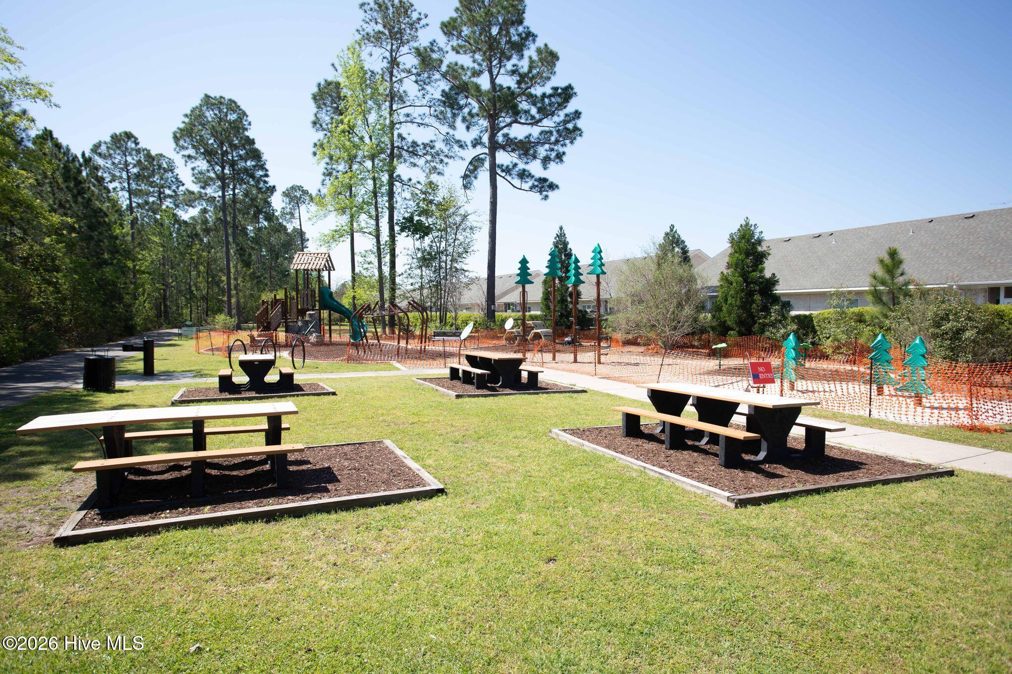 100570513 | Photo 59