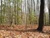 Lot 25 Laurel Mountain, Brasstown, North Carolina, 0 ,For sale,Laurel Mountain,98544652 Lot 25 Laurel Mountain, Brasstown, North Carolina, 0 ,For sale,Laurel Mountain,98544652