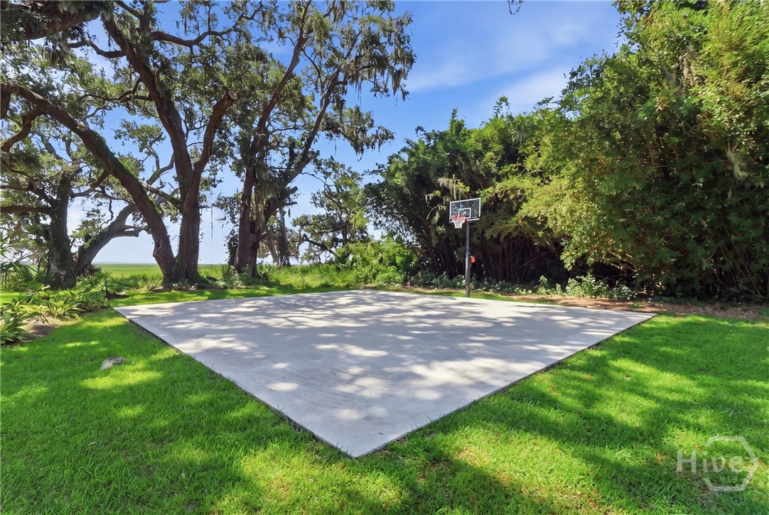 Basketball Court