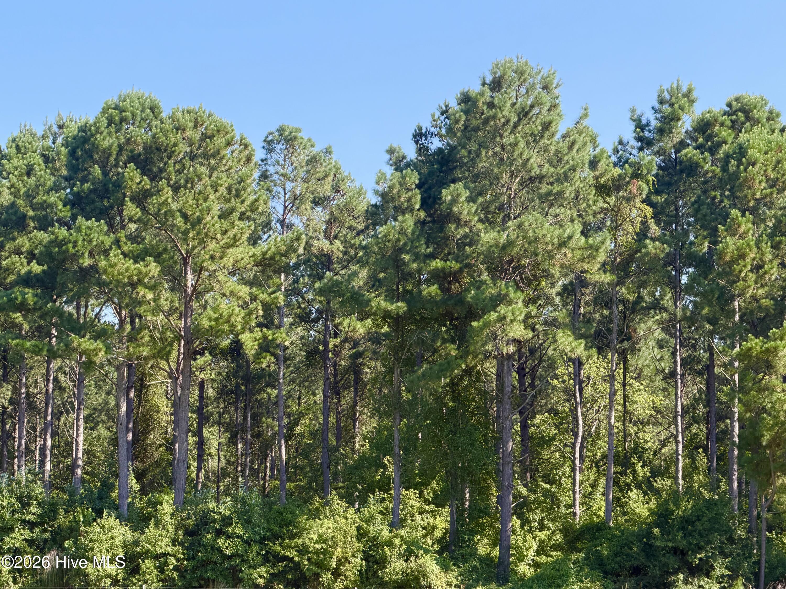 0 Cedar Fork Road,Beulaville
