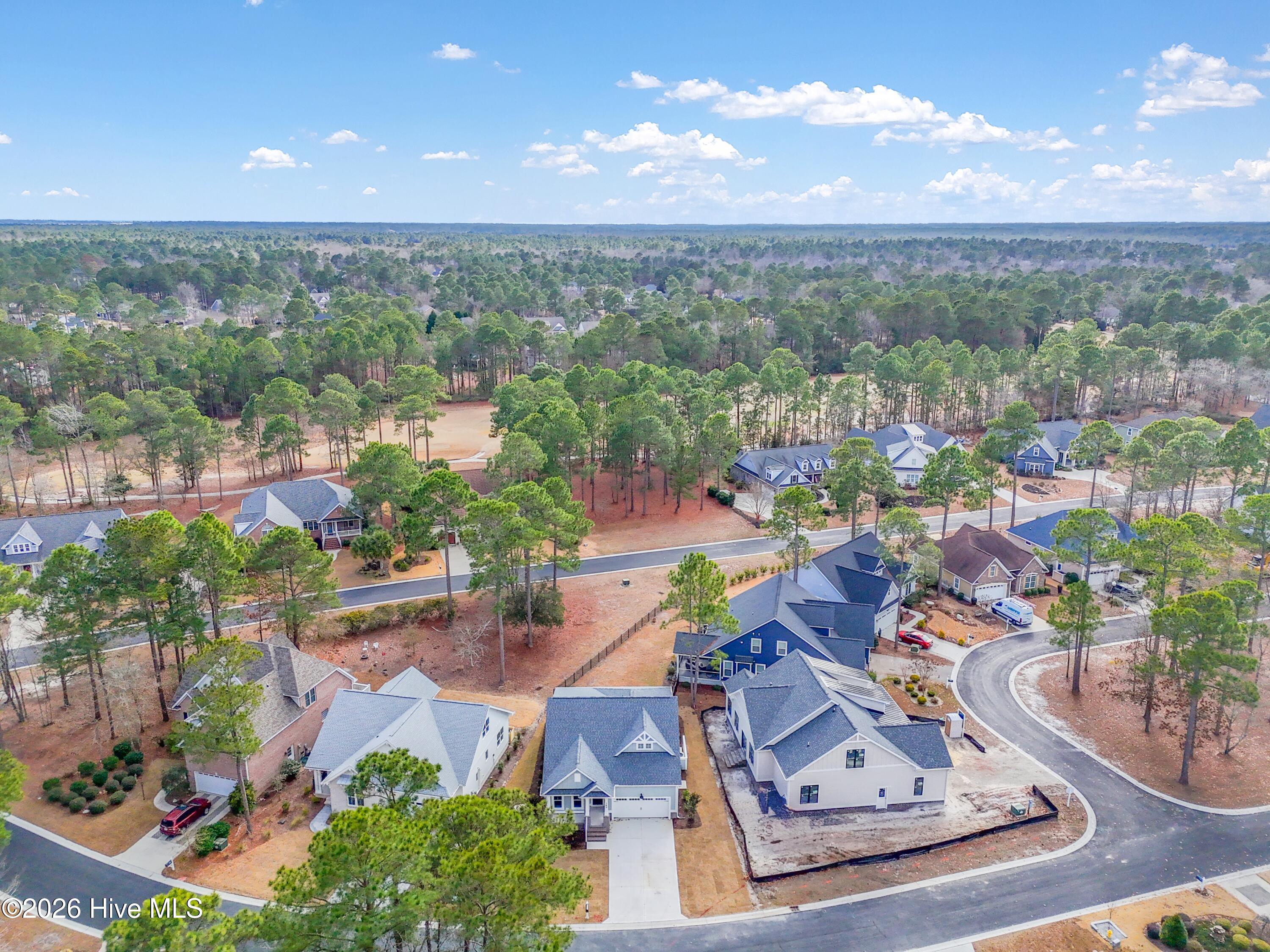 100533287 | Photo 58