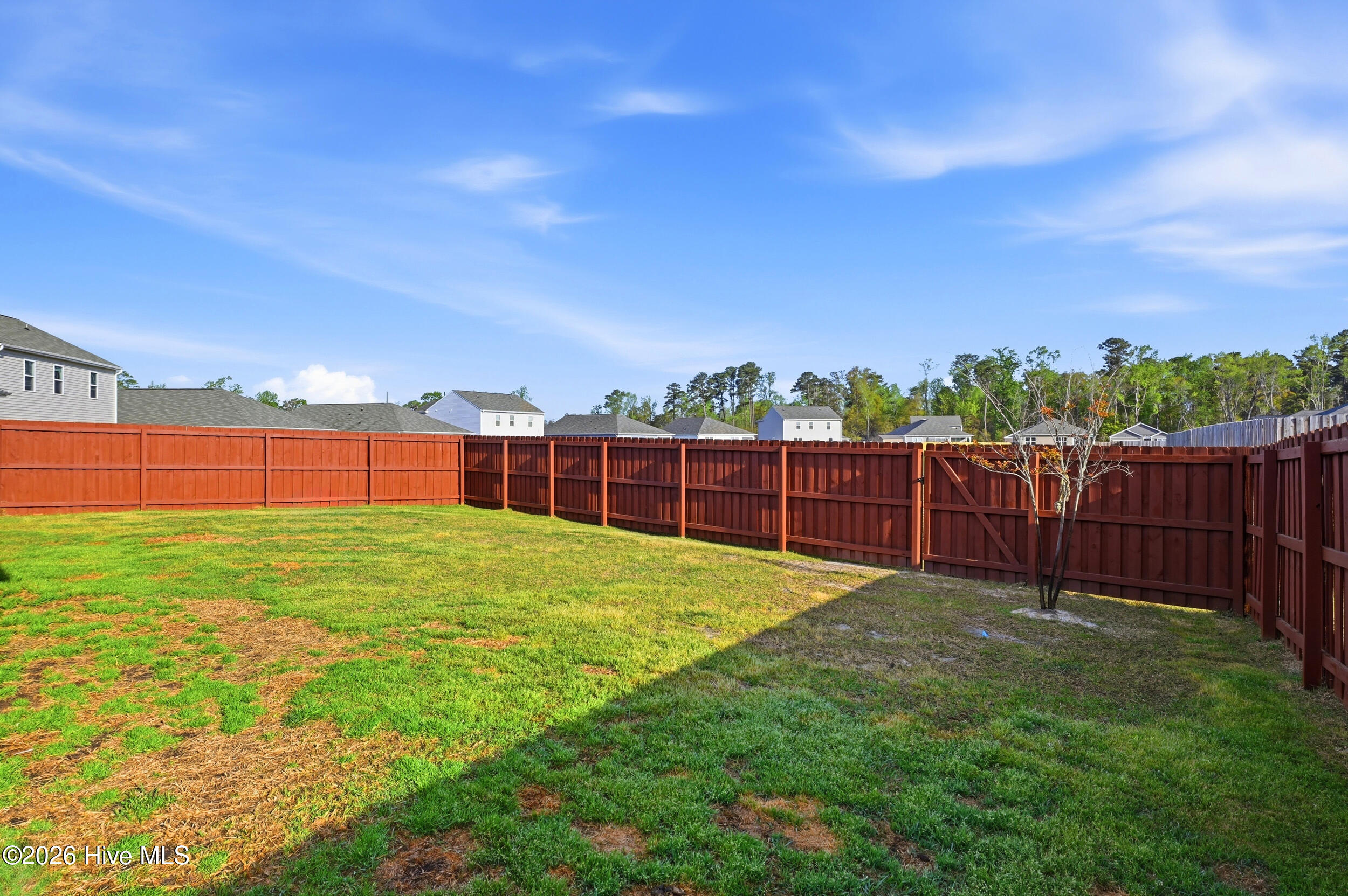 100563269 | Photo 35