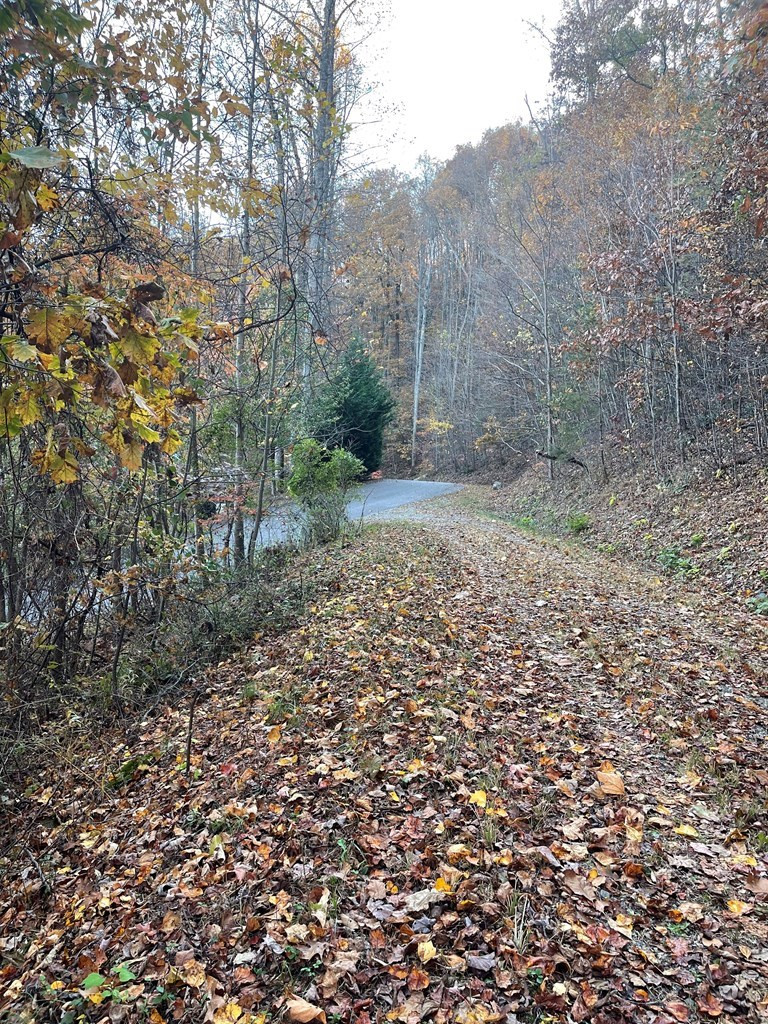 Exterior photo of Lot 51J Indian Trail, Hayesville, NC 28904. MLS: 98543810