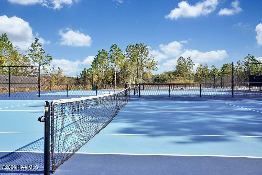 100567236 | Photo 29