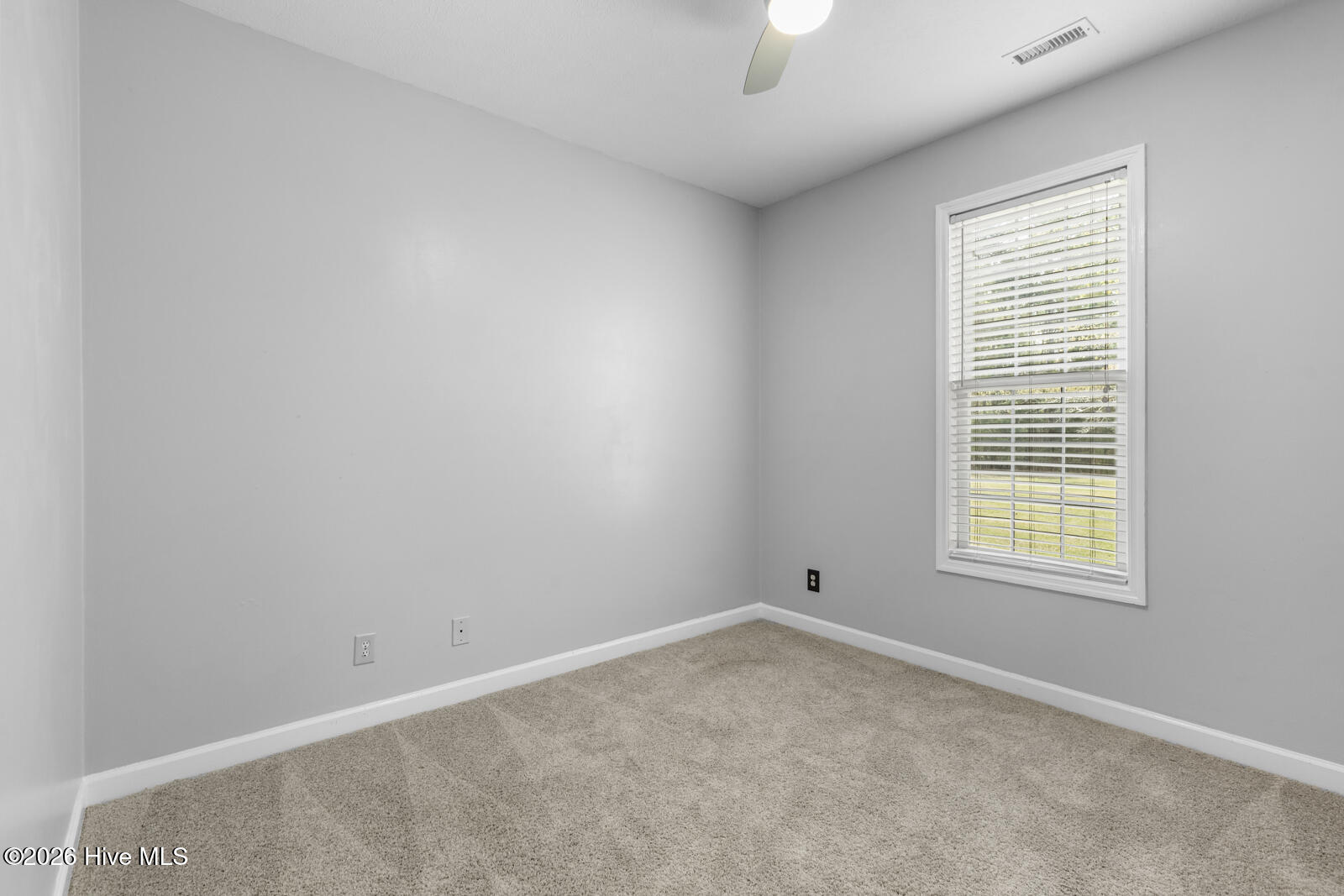 100563110 | Photo 37