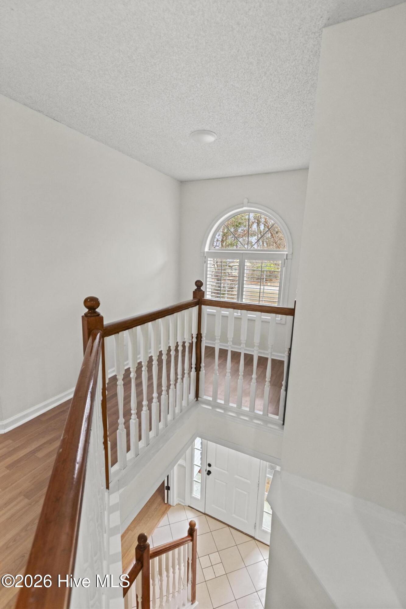 100548531 | Photo 20