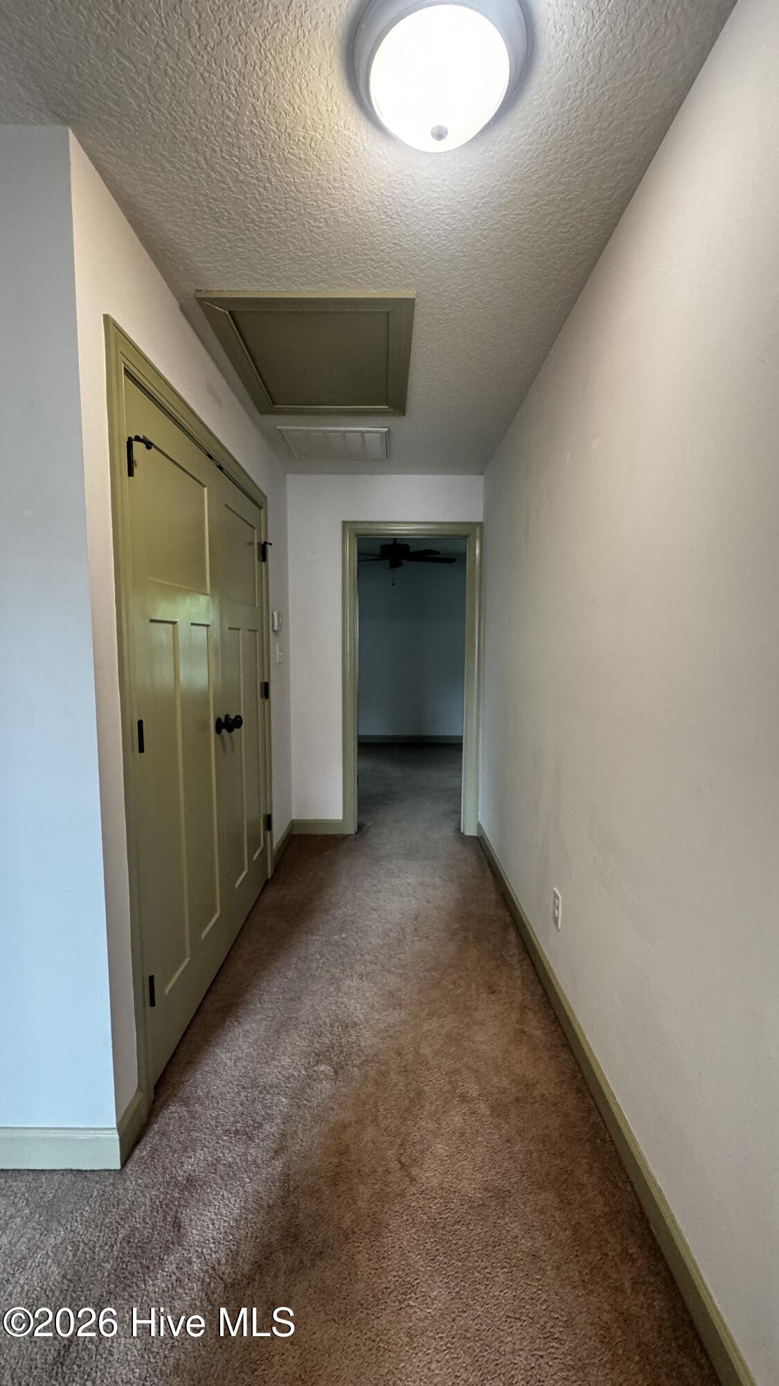 100569883 | Photo 13