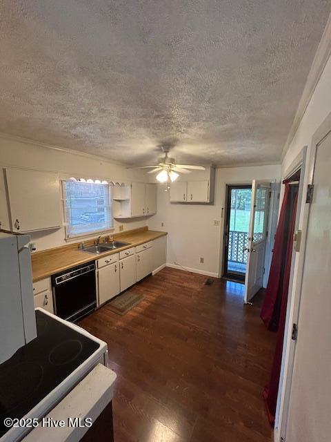 100531539 | Photo 20