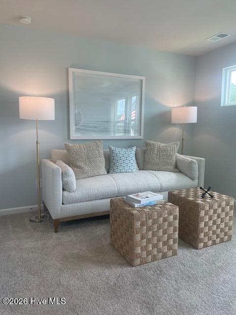 100552589 | Photo 11