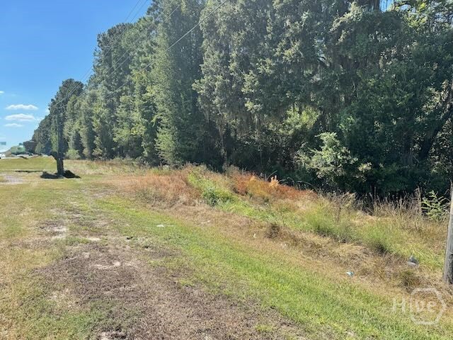 0 Hwy 17 S, Richmond Hill, GA, 31324